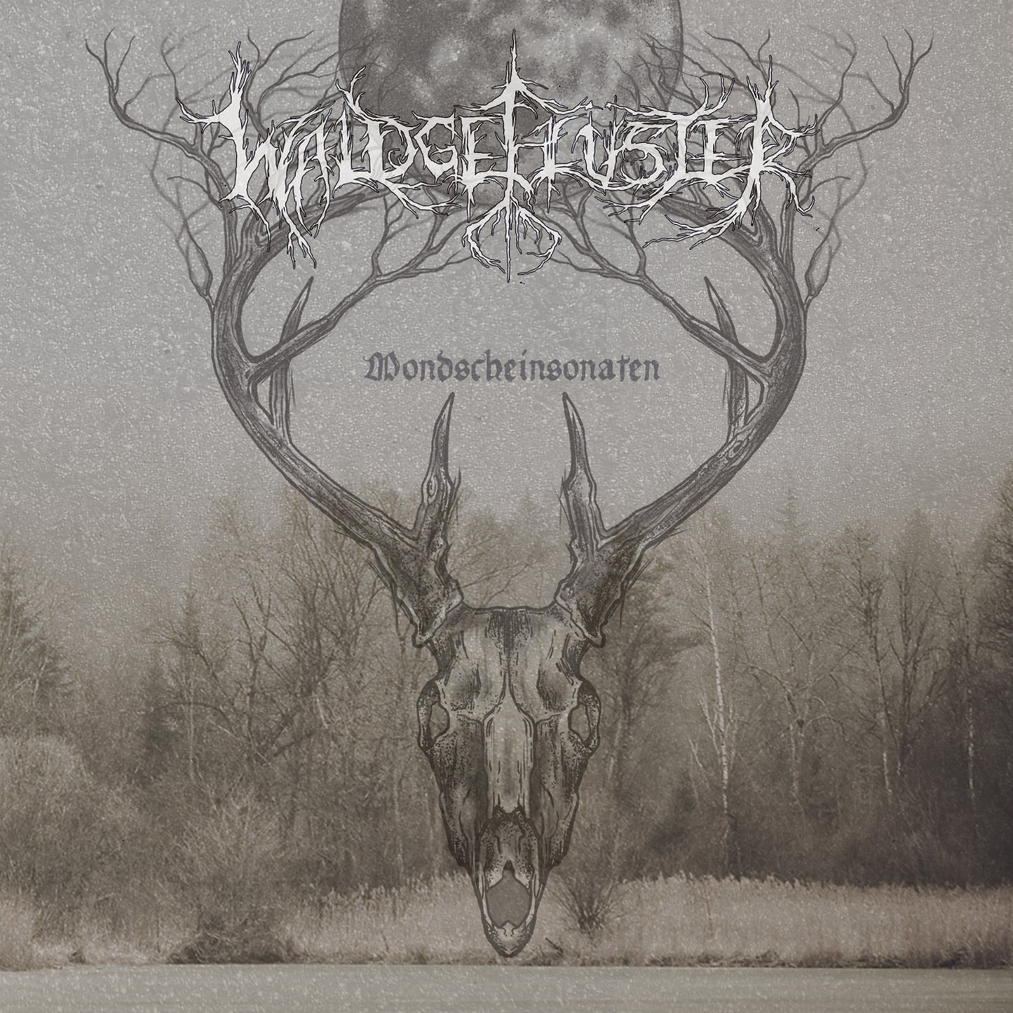 Waldgeflüster - Mondscheinsonaten (CD)