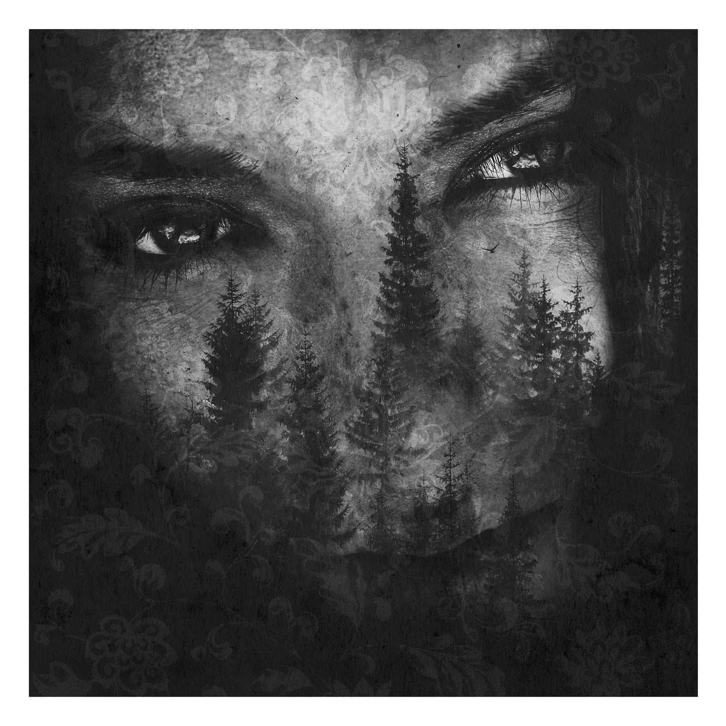 Lustre - The Ashes of Light (Vinyl LP - Silver)