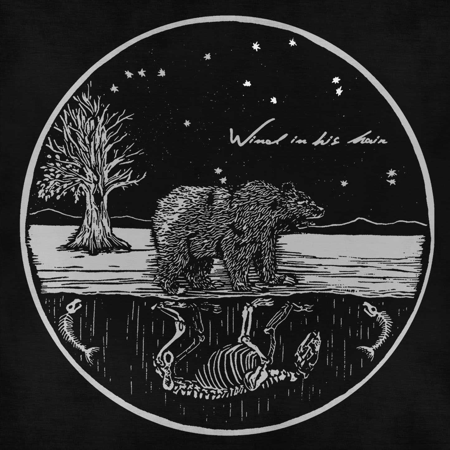 Wind In His Hair - Future Primitives (Vinyl LP - Recycle)