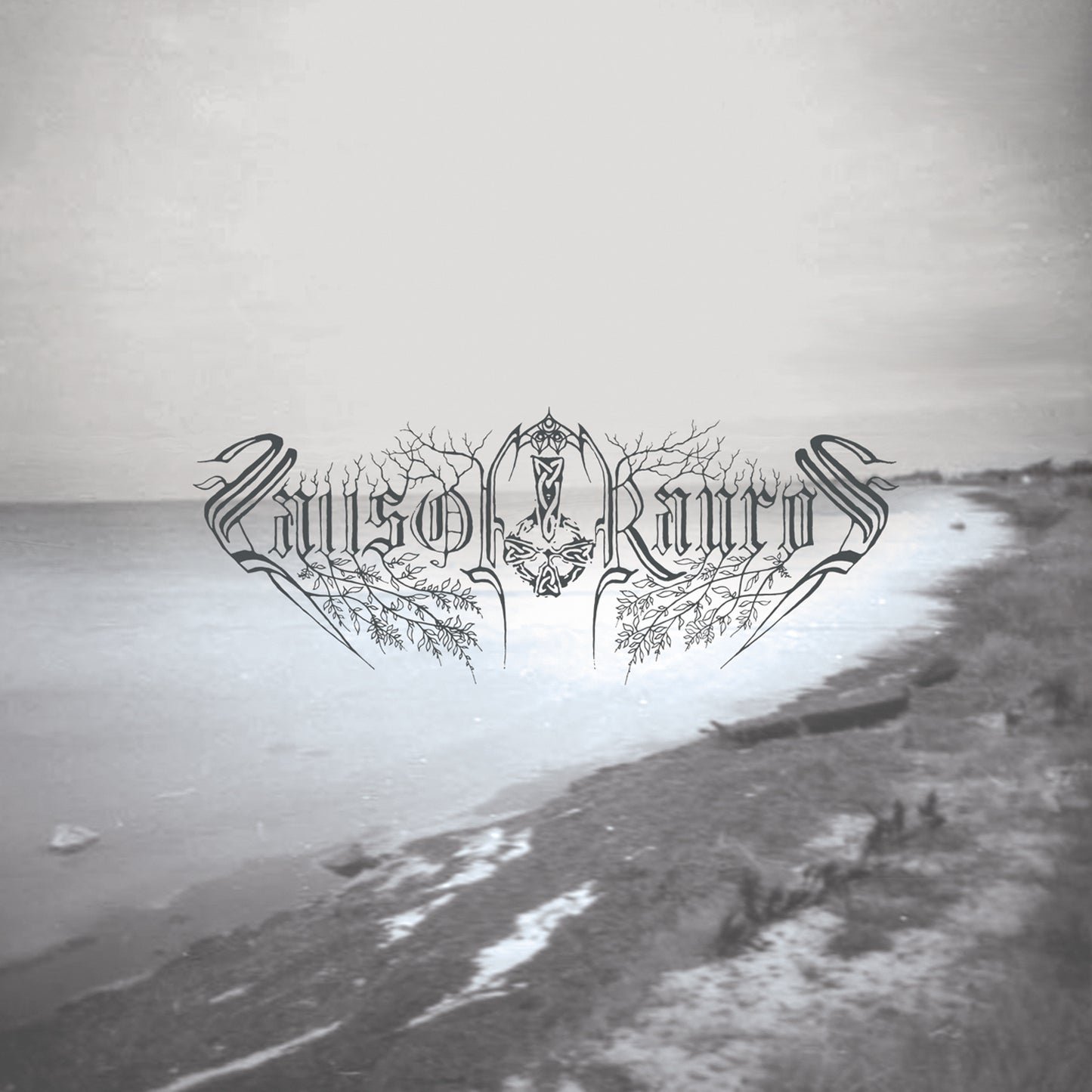 Falls of Rauros - Believe In No Coming Shore (CD)