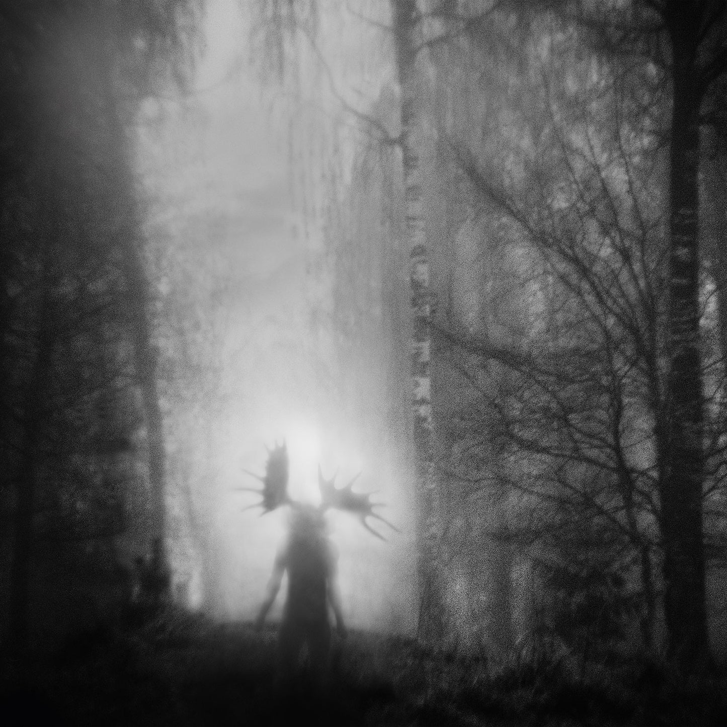 Iterum Nata - From the Infinite Light (Vinyl LP - Black)