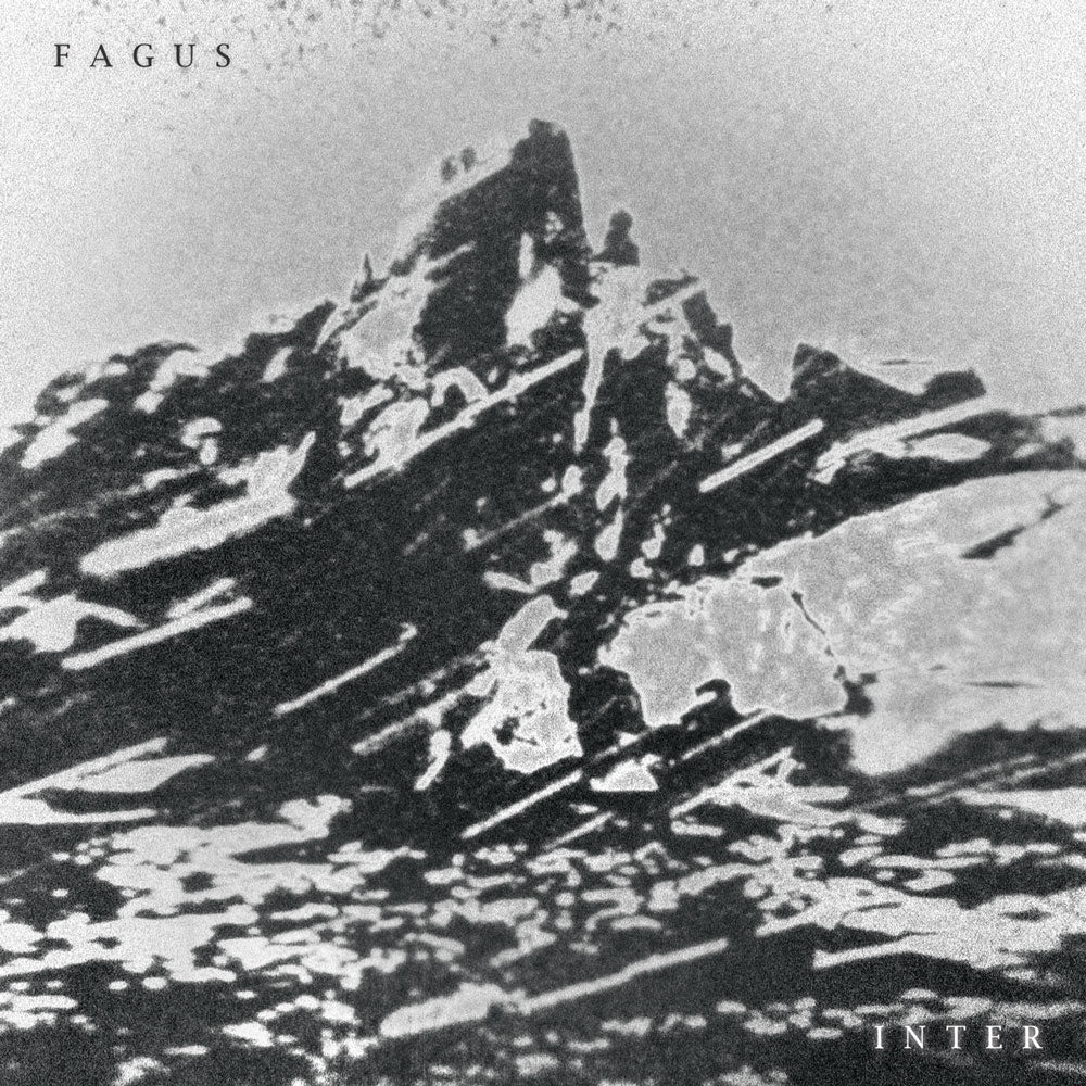Fagus - Inter (Vinyl LP - Black)