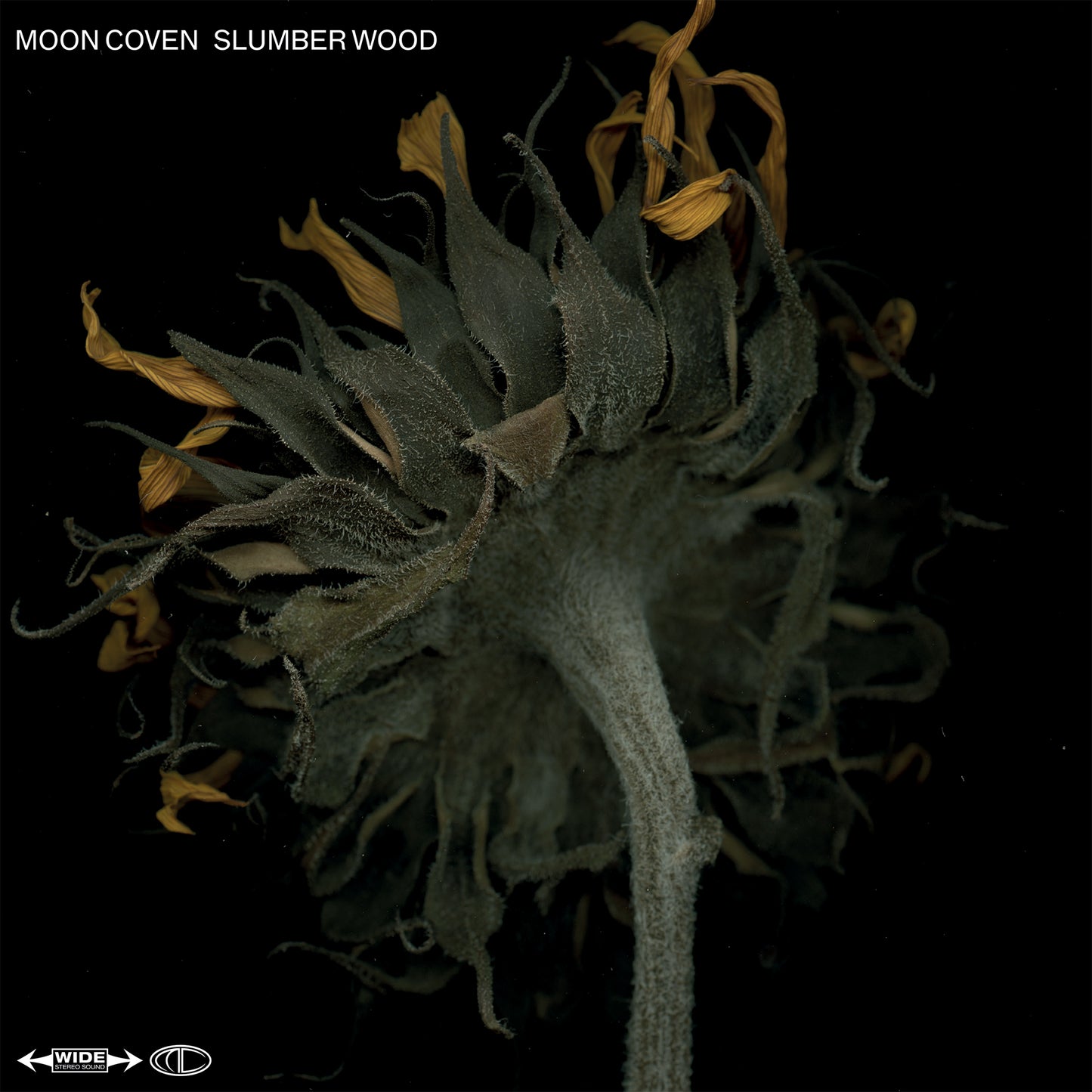 Moon Coven - Slumber Wood (Vinilo - Negro)