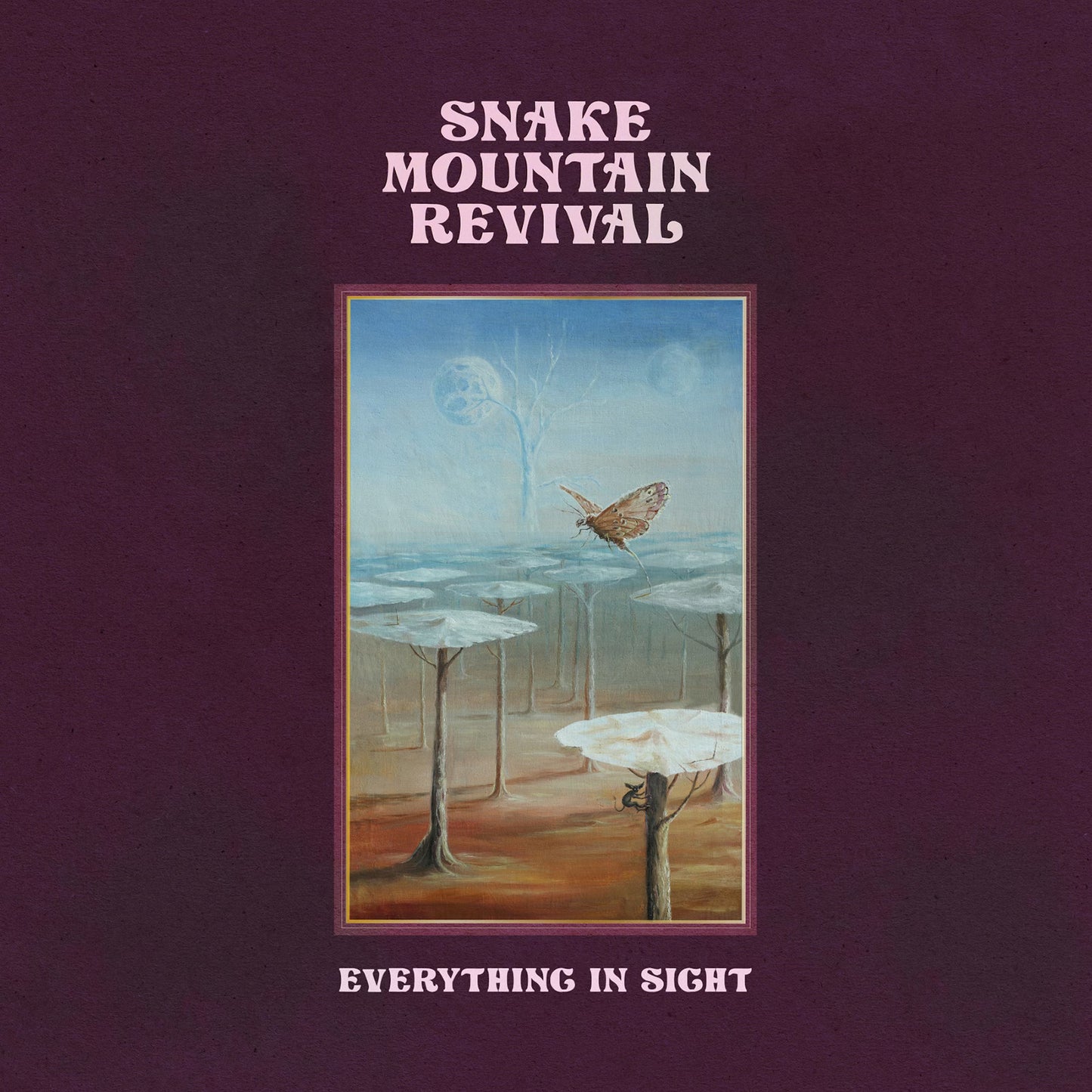 Snake Mountain Revival - Everything in Sight (Vinyl LP)
