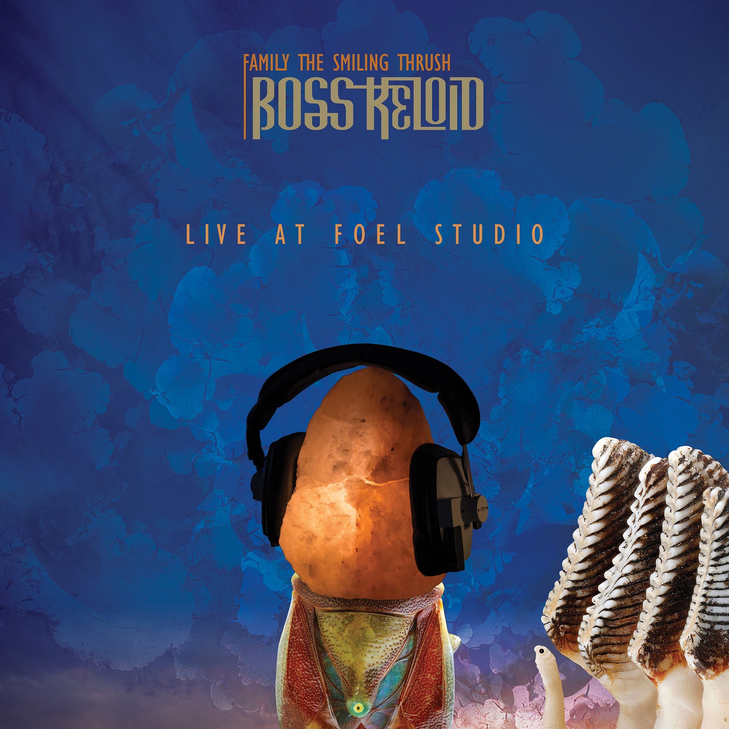 Boss Keloid - Family The Smiling Thrush Live at Foel Studio (Vinyl LP)
