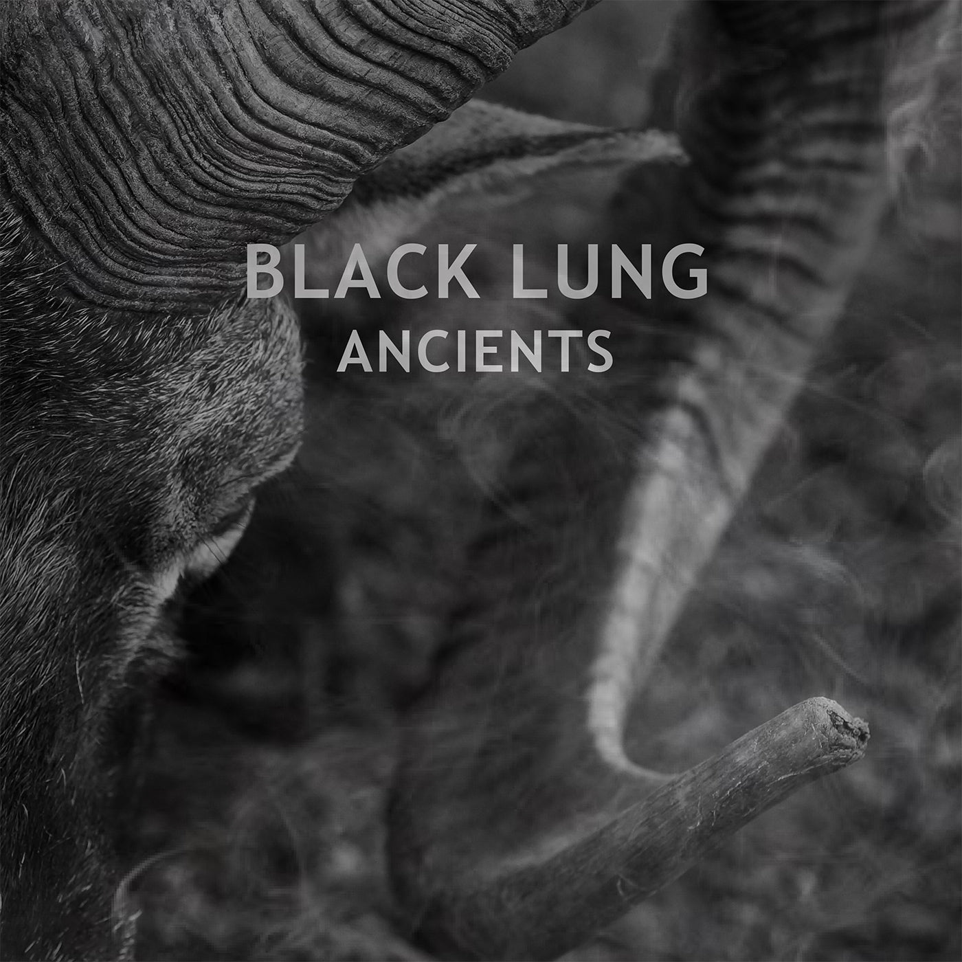 Black Lung - Ancients (Vinyl LP - Black)