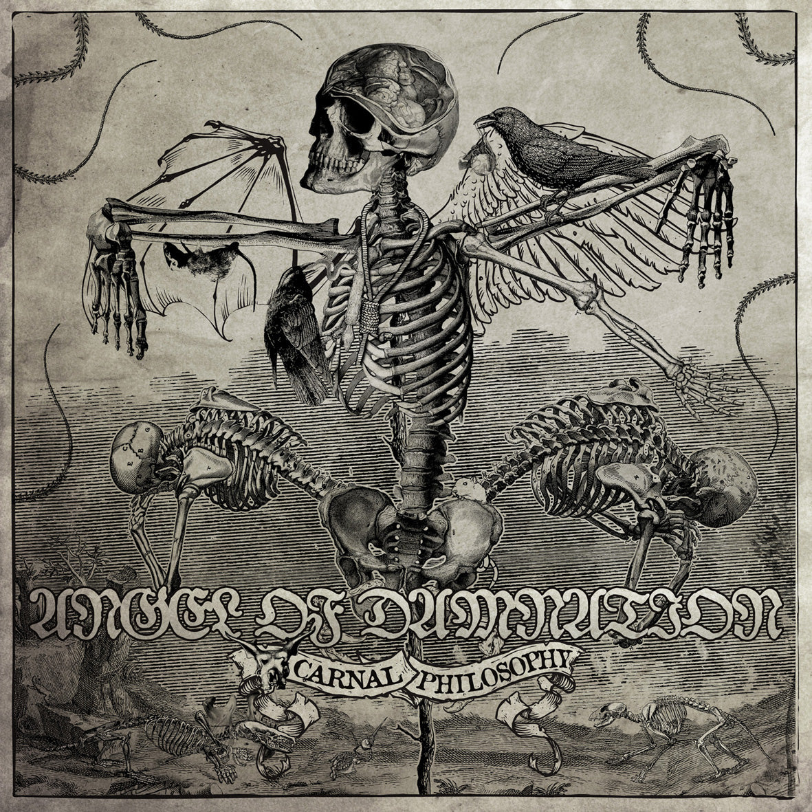 Angel of Damnation – Carnal Philosophy (CD)