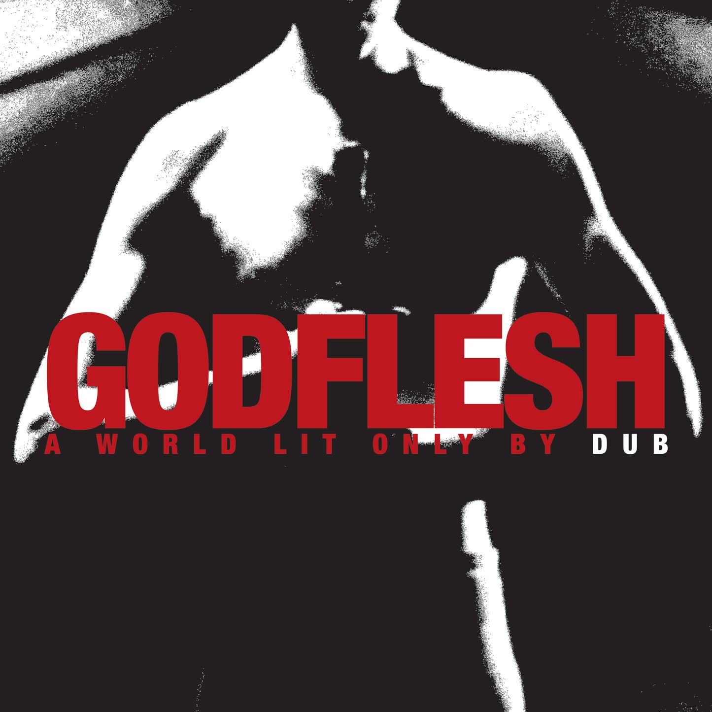 Godflesh – A World Lit Only By Dub (Vinyl-LP – Schwarz)