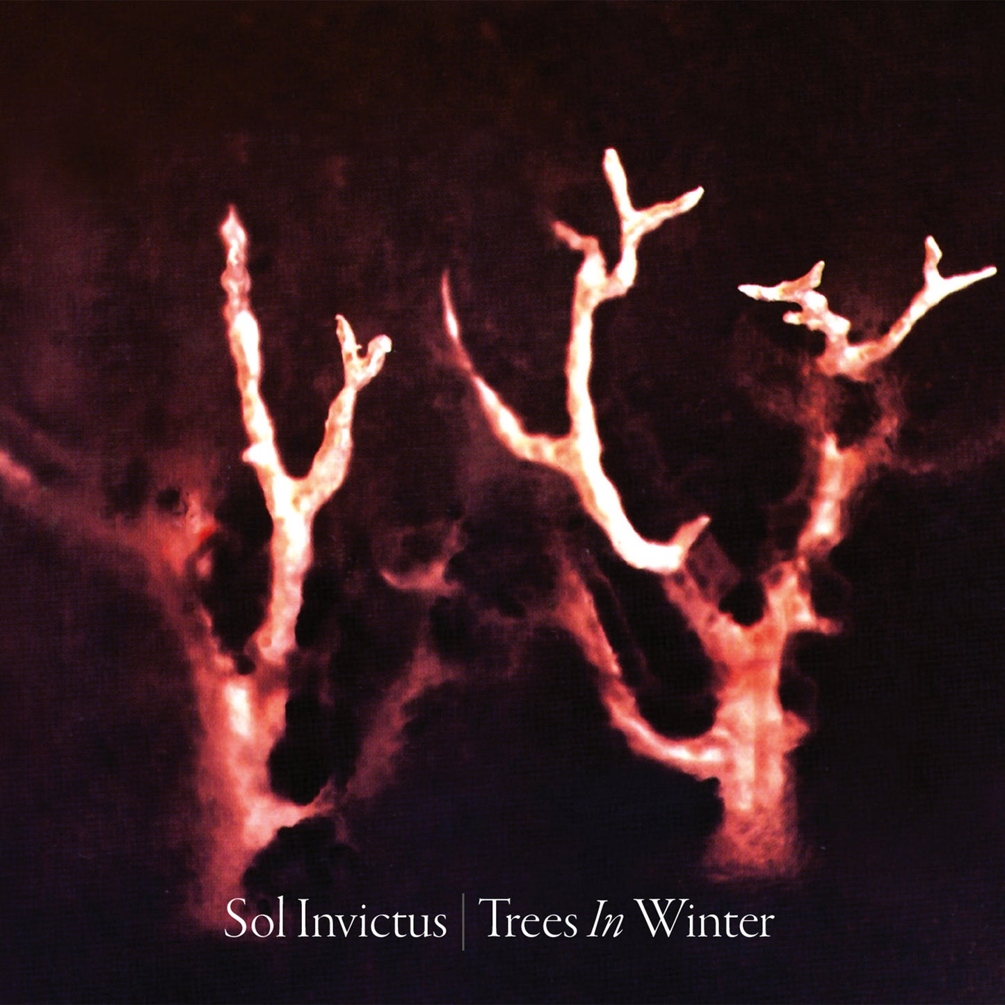 Sol Invictus - Trees in Winter (CD Digipak)