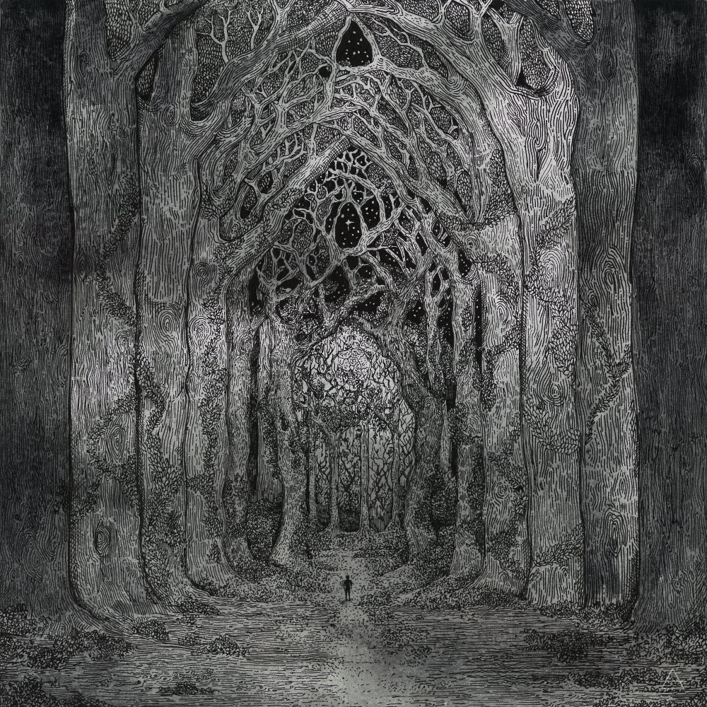 Nhor - En la oscuridad, entre la luz de las estrellas (Vinilo desplegable de 2 LP, negro)