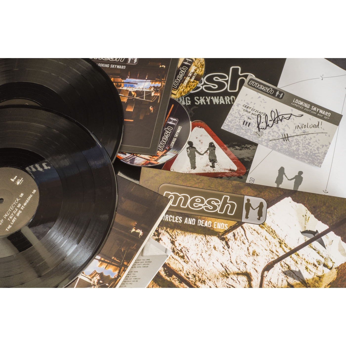 Mesh - Looking Skyward (CD)