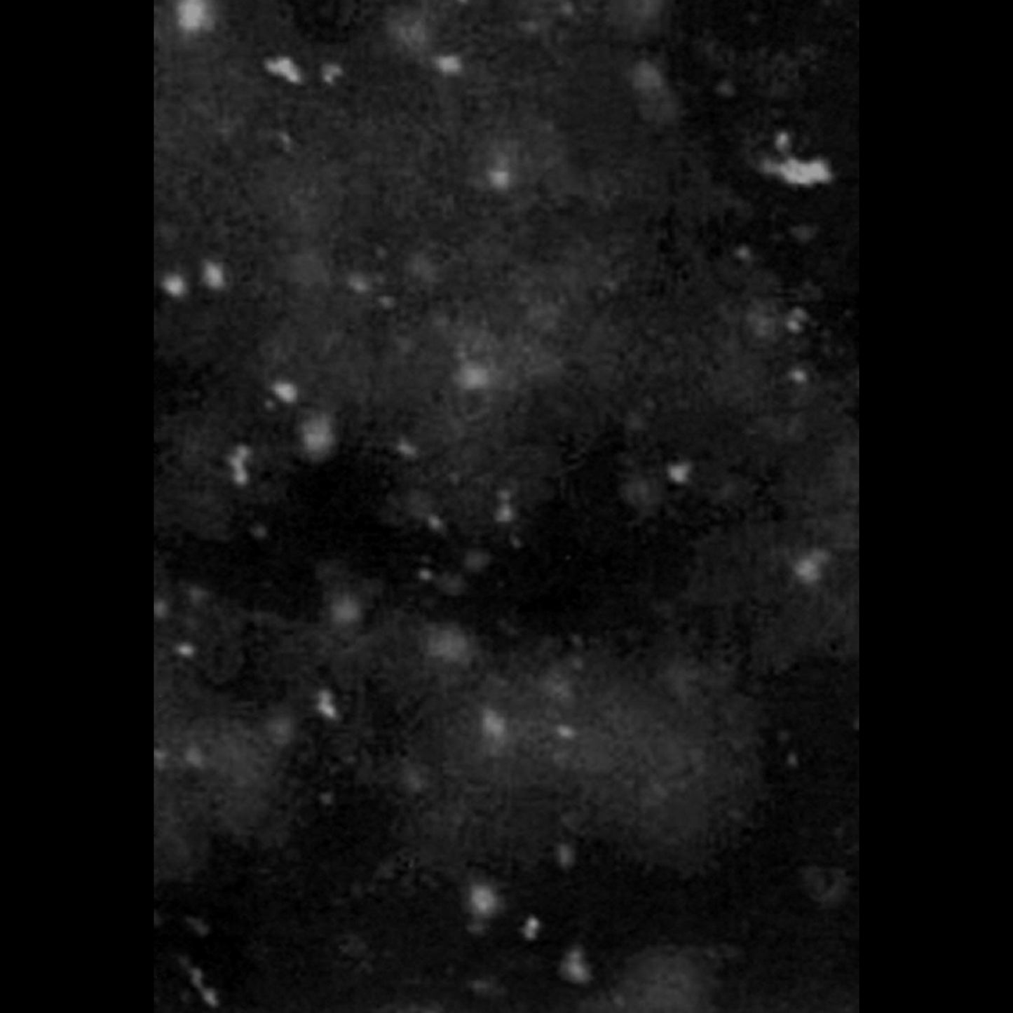 Paysage d'Hiver - Einsamkeit (CD Digibook)