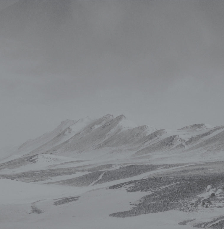Vinterkult & Nordgeist - Nordwinter (Vinyl LP - Black)