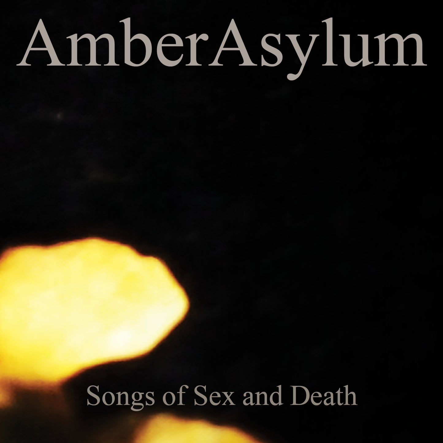 Amber Asylum - Canciones de sexo y muerte (CD-2 en funda digital)