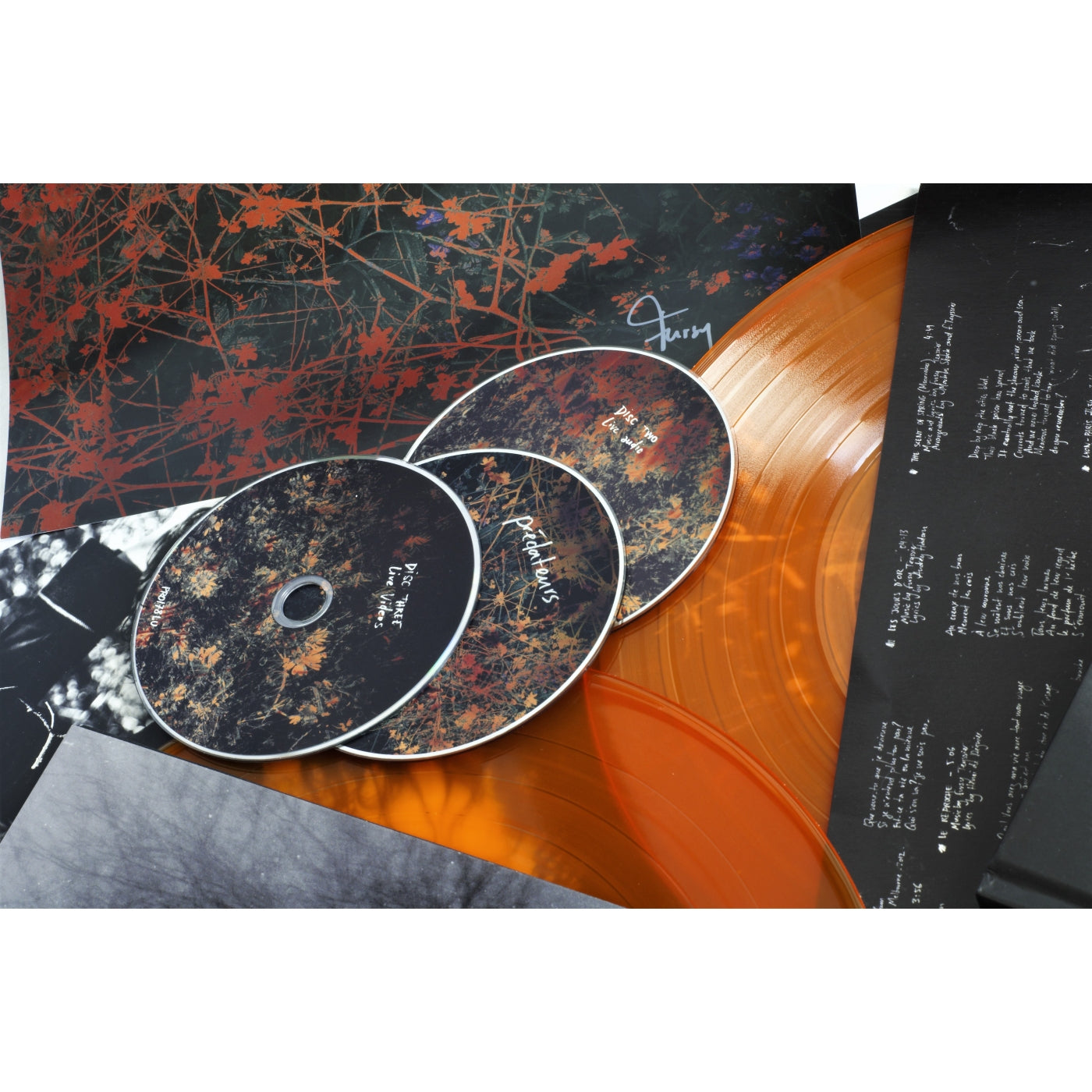 Les Discrets - Prédateurs (Boxset / Bundle - Complete Box - orange)