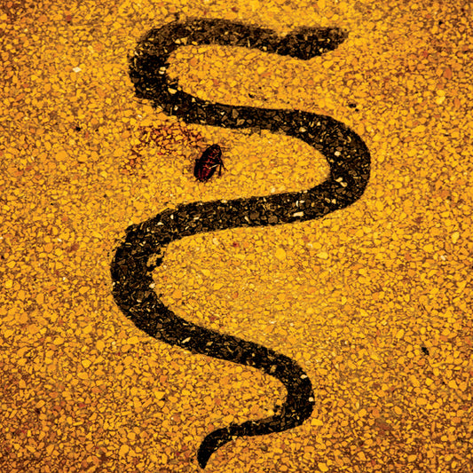 Soror Dolorosa - Apolo (CD Digipak)