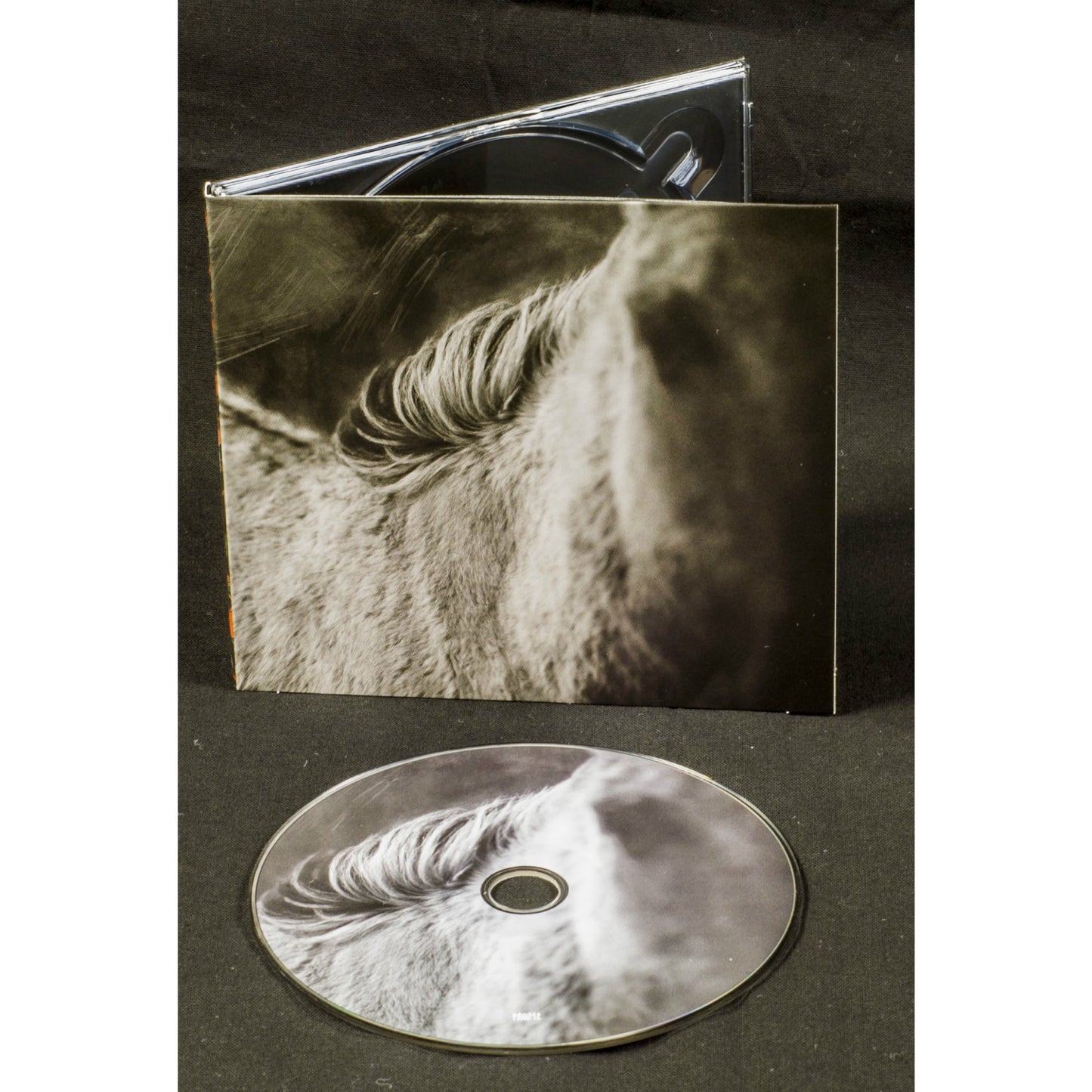 Les Discrets - Rue Octavio Mey / Fleur des Murailles (CD)