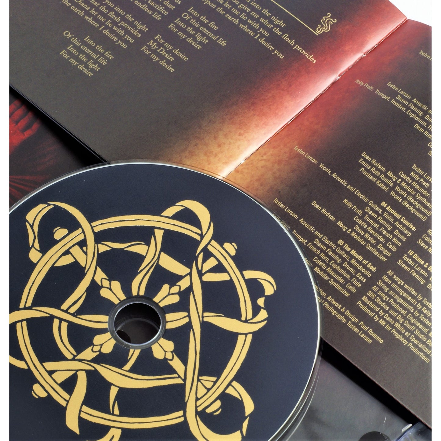 The Dark Red Seed - Becomes Awake (CD Digipak)