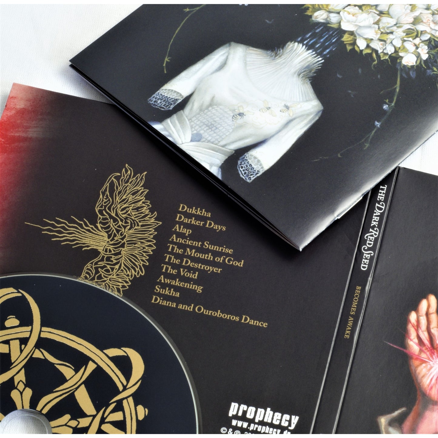 The Dark Red Seed - Becomes Awake (CD Digipak)