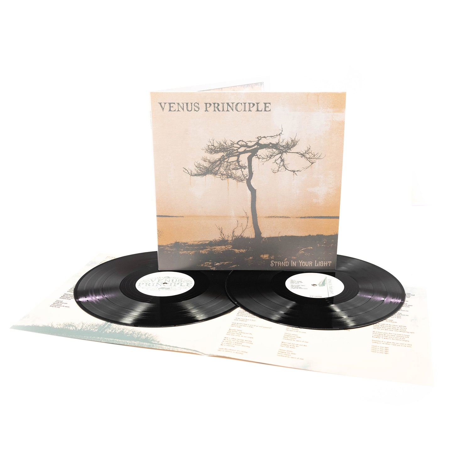 Venus Principle - Stand In Your Light (Vinyl 2-LP Gatefold)