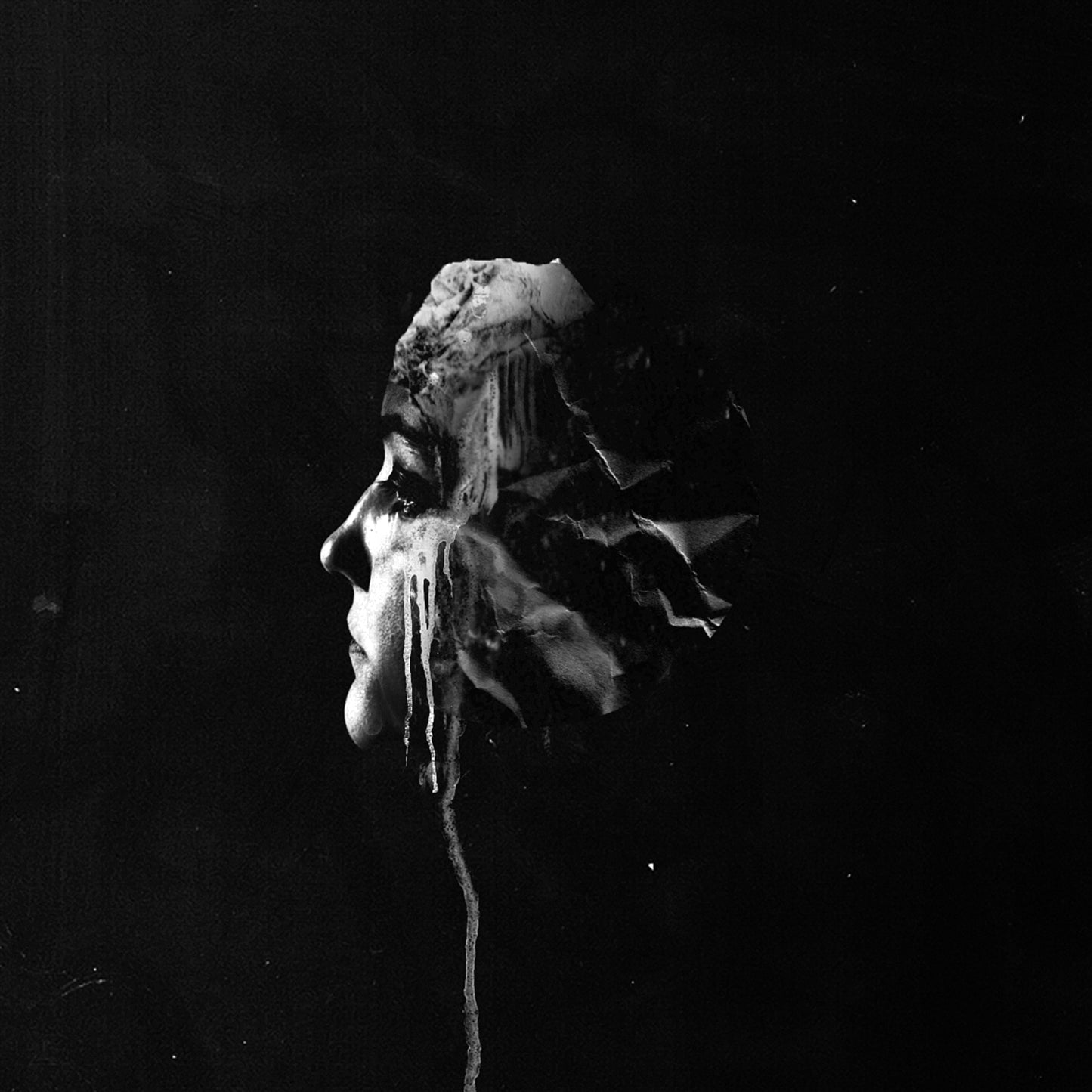 Fvnerals - The Light (Vinyl LP - Black)