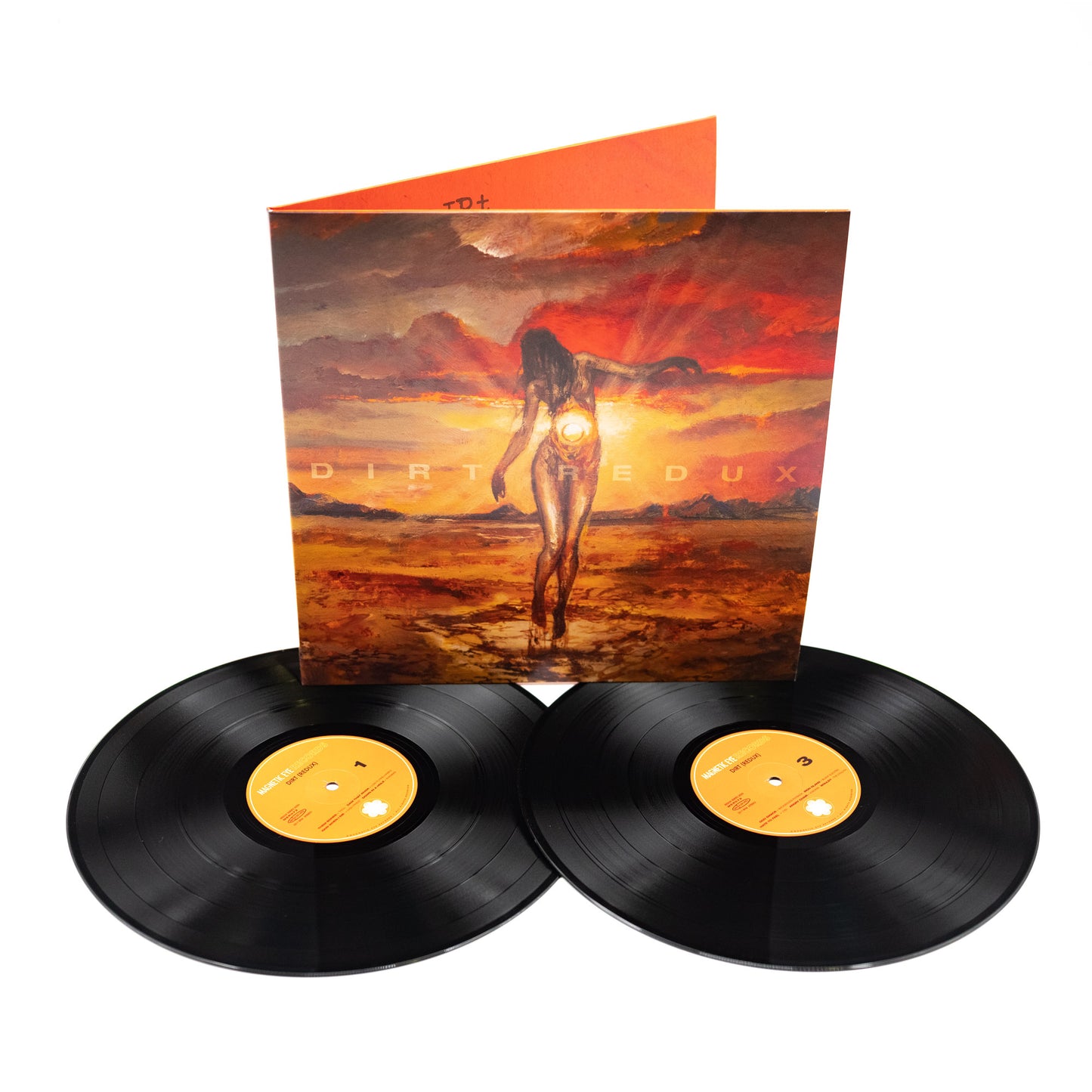 Verschiedene Künstler – Alice In Chains – Dirt (Redux) (Vinyl 2-LP Gatefold – Schwarz)