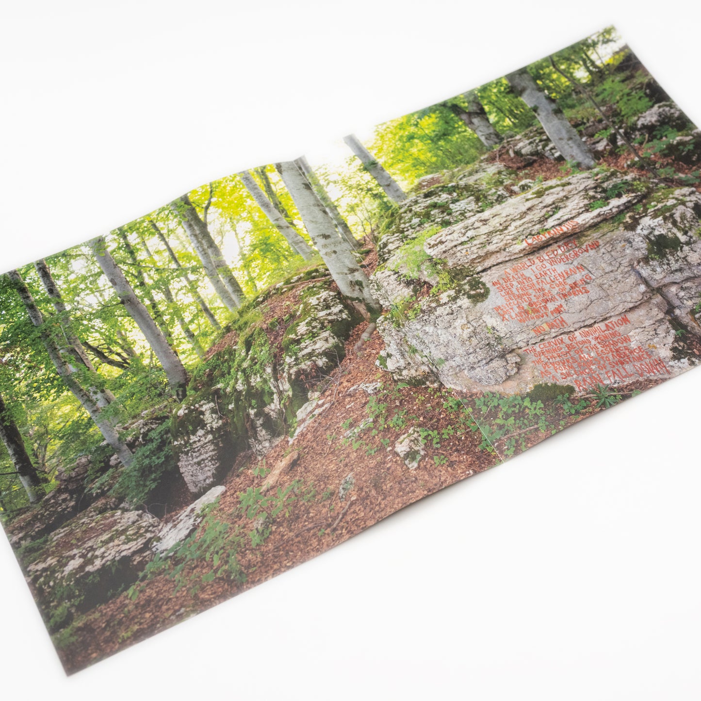 Fauna - Ochre & Ash (Vinyl 2-LP Gatefold)