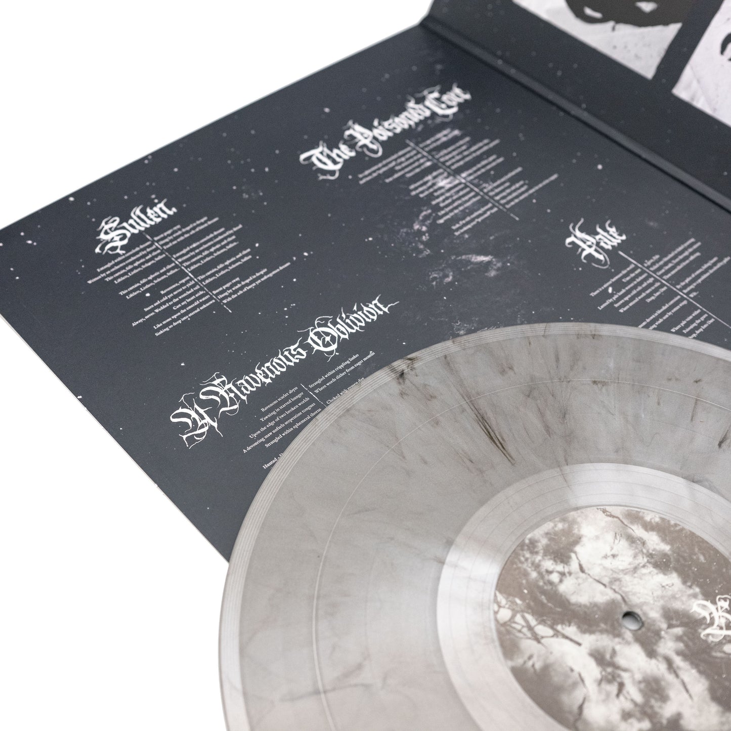 Austere - Corrosion Of Hearts (Vinyl Gatefold LP)