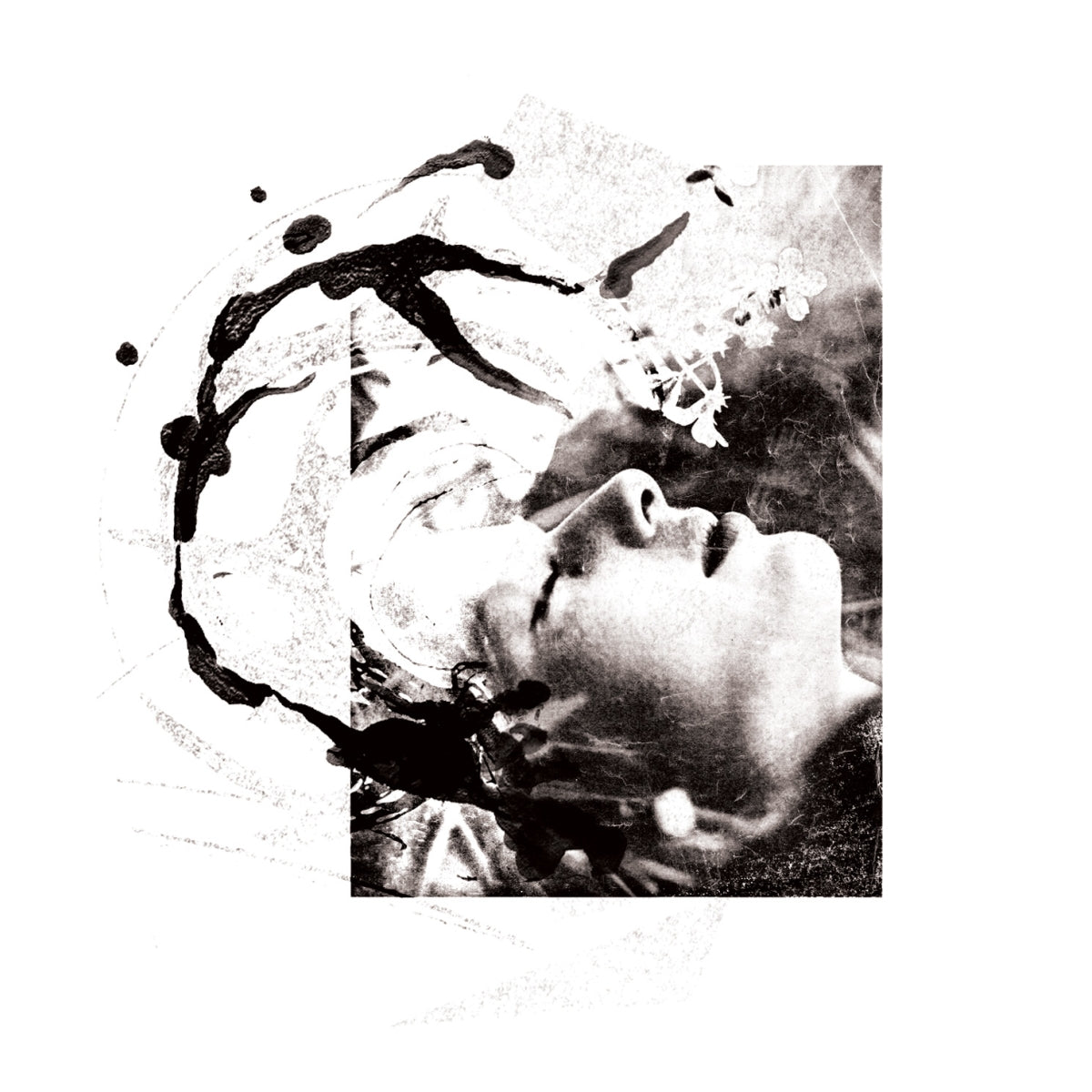 Tenhi - Airut:Aamujen (Vinyl LP)
