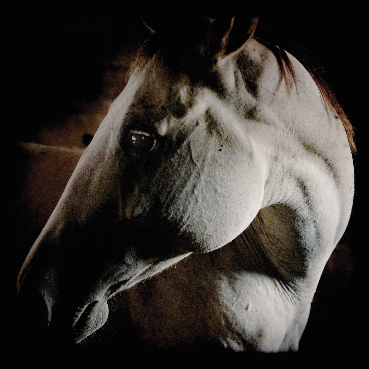 Brother Dege - How To Kill A Horse (CD Digisleeve)