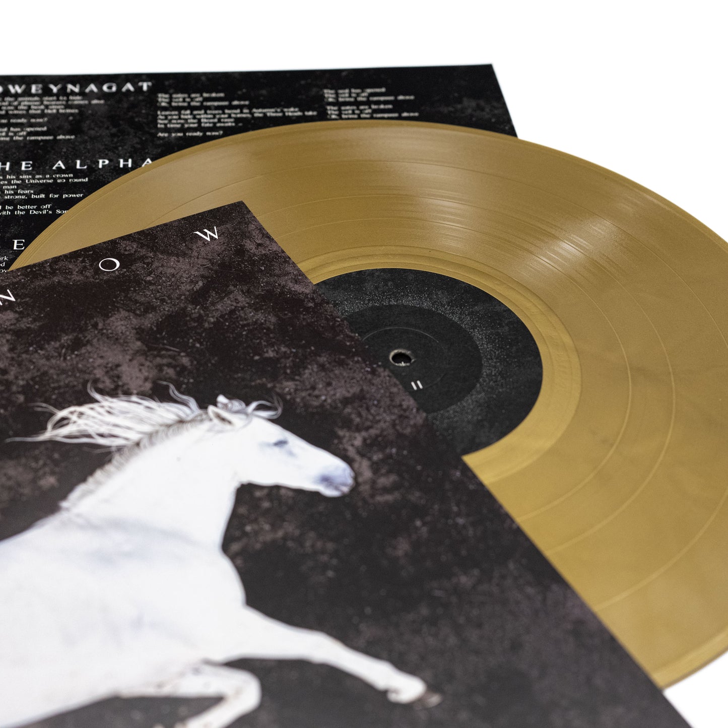 Dool - Here Now, There Then (Vinyl)