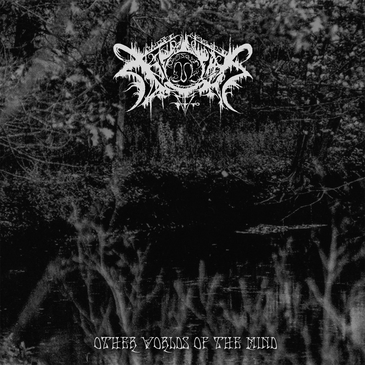 Xasthur - Other Worlds Of The Mind (Vinyl 2-LP Gatefold)