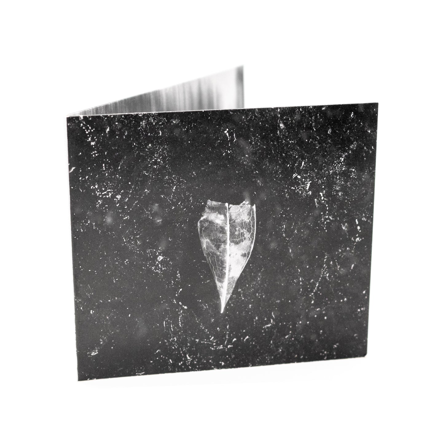 Bienen machten Honig im Aderbaum – Aion (CD Digisleeve)