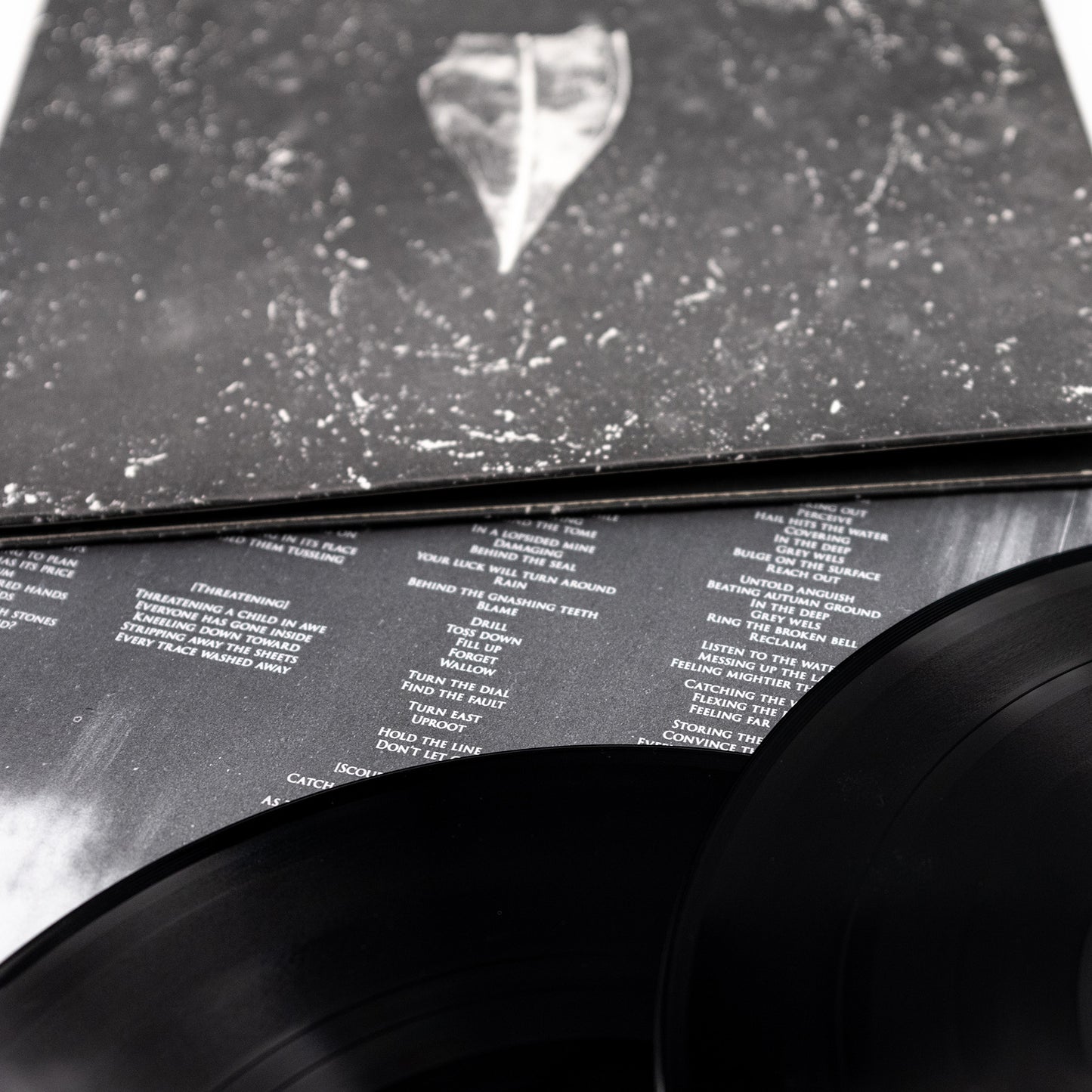 Abejas hicieron miel en la vena del árbol - Aion (Vinilo de 2 LP desplegable)