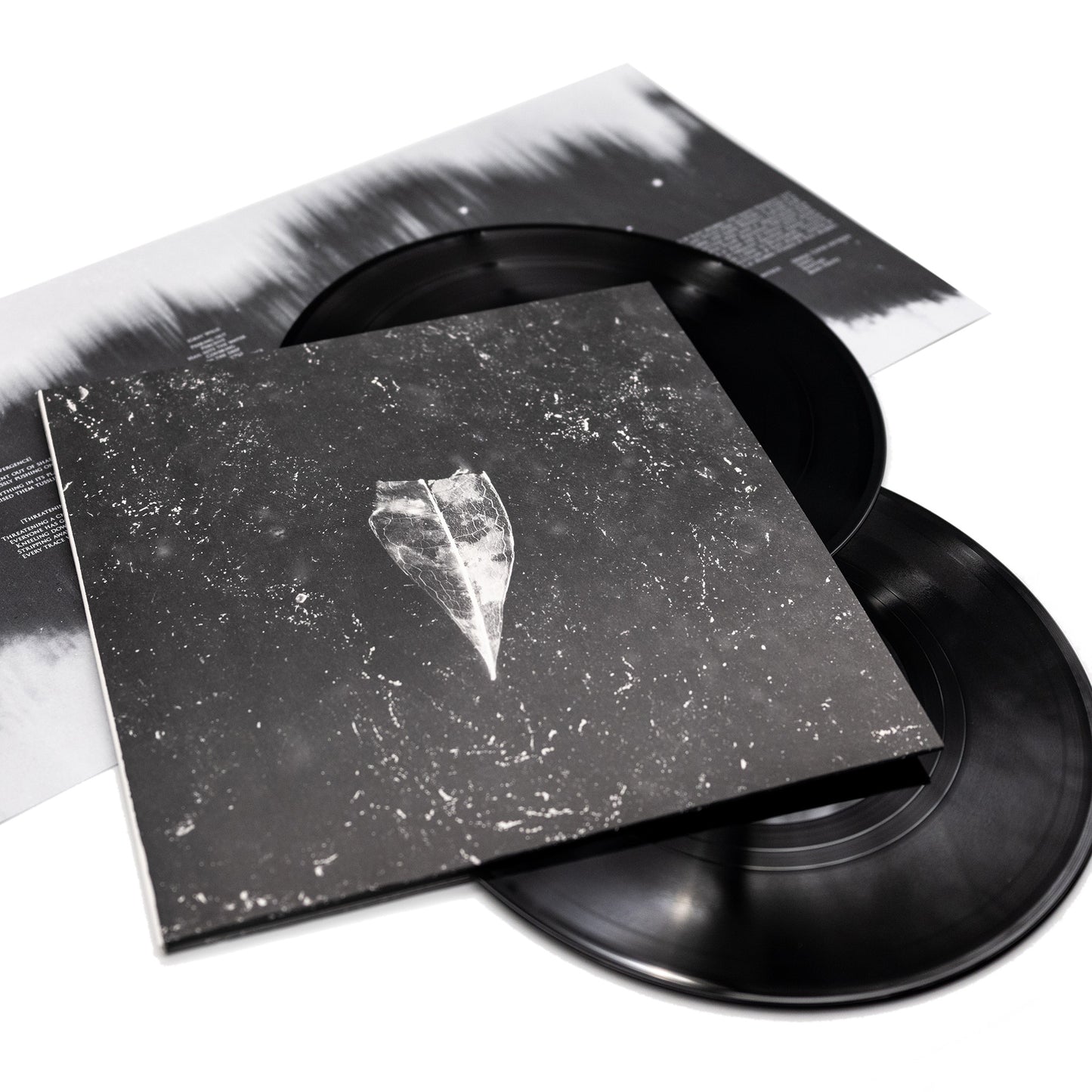 Abejas hicieron miel en la vena del árbol - Aion (Vinilo de 2 LP desplegable)