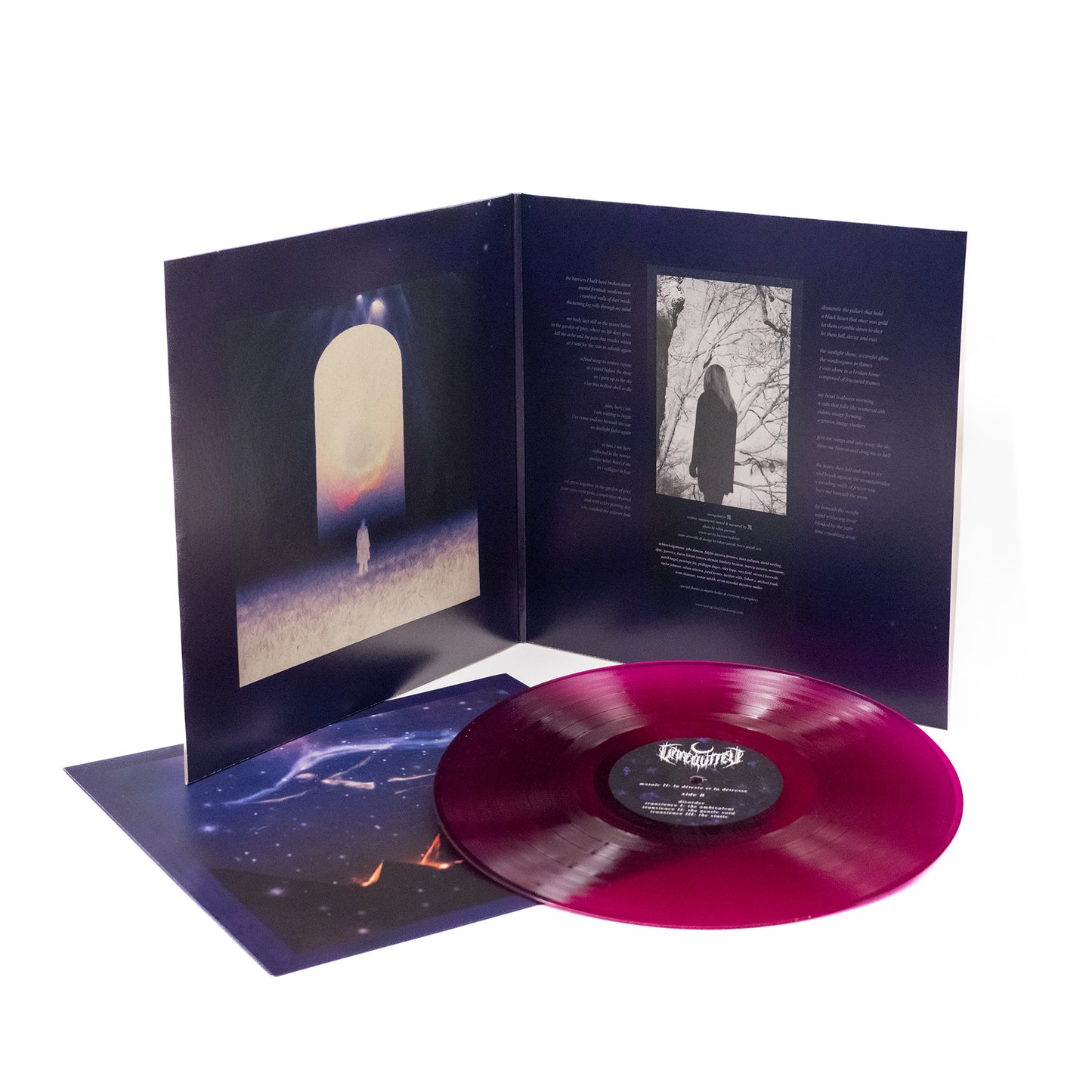 Unreqvited - Mosaic II: la déteste et la détresse (Vinyl Gatefold LP)