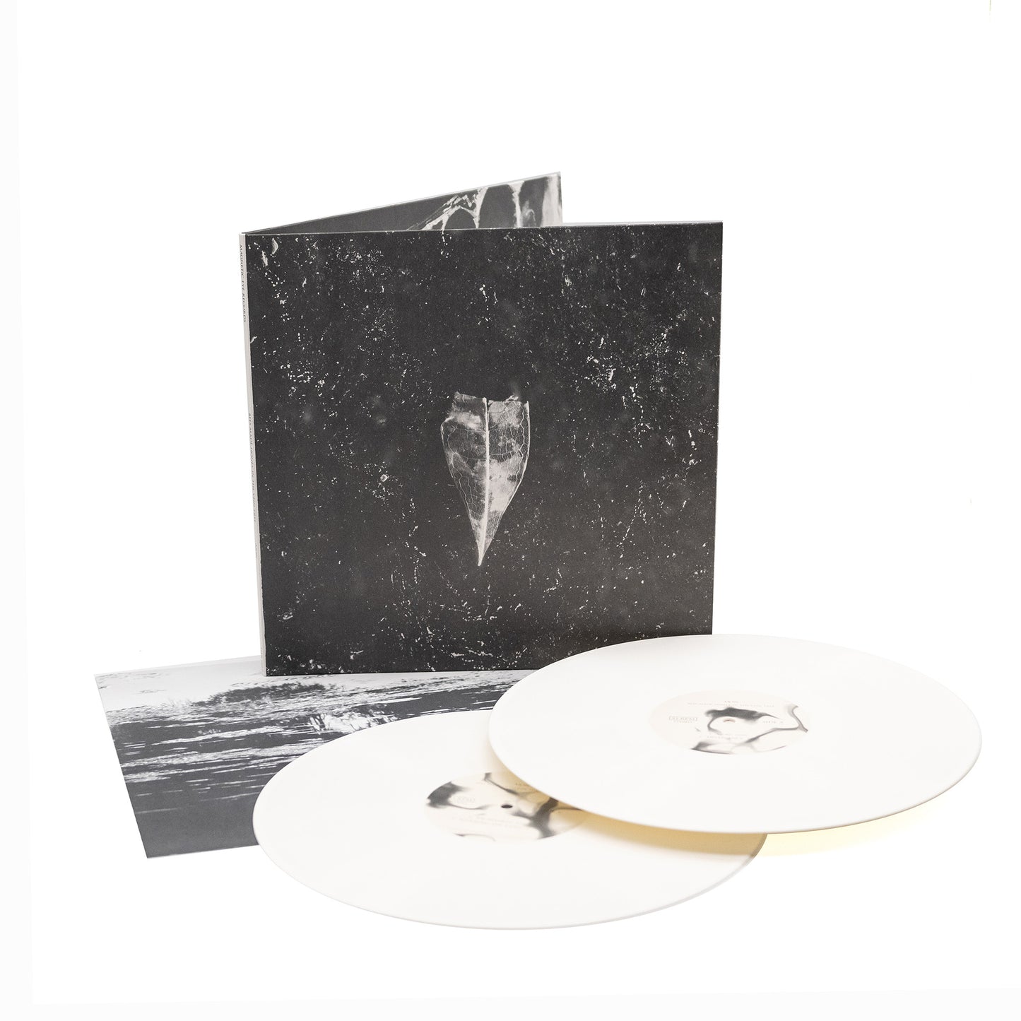 Abejas hicieron miel en la vena del árbol - Aion (Vinilo de 2 LP desplegable)