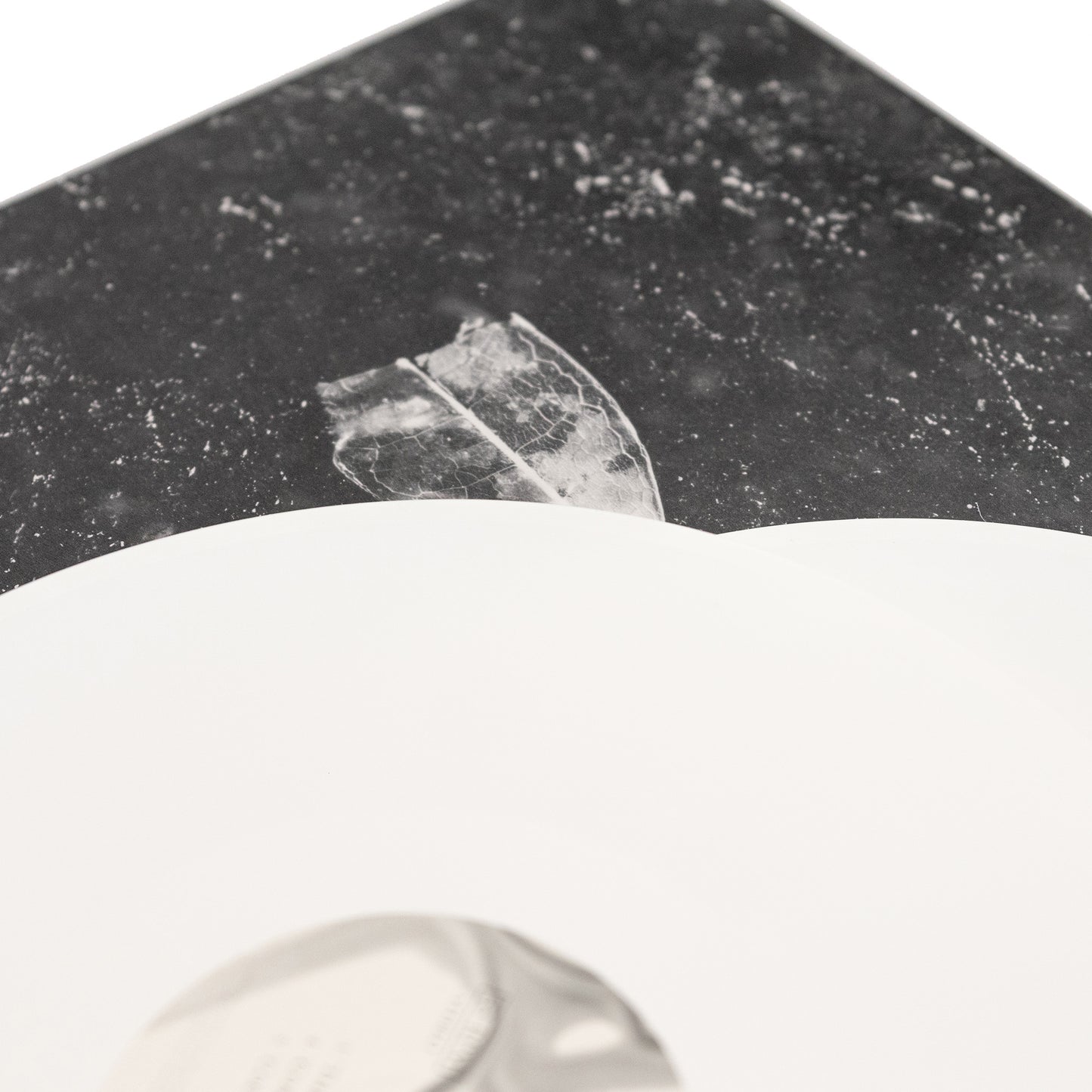 Abejas hicieron miel en la vena del árbol - Aion (Vinilo de 2 LP desplegable)