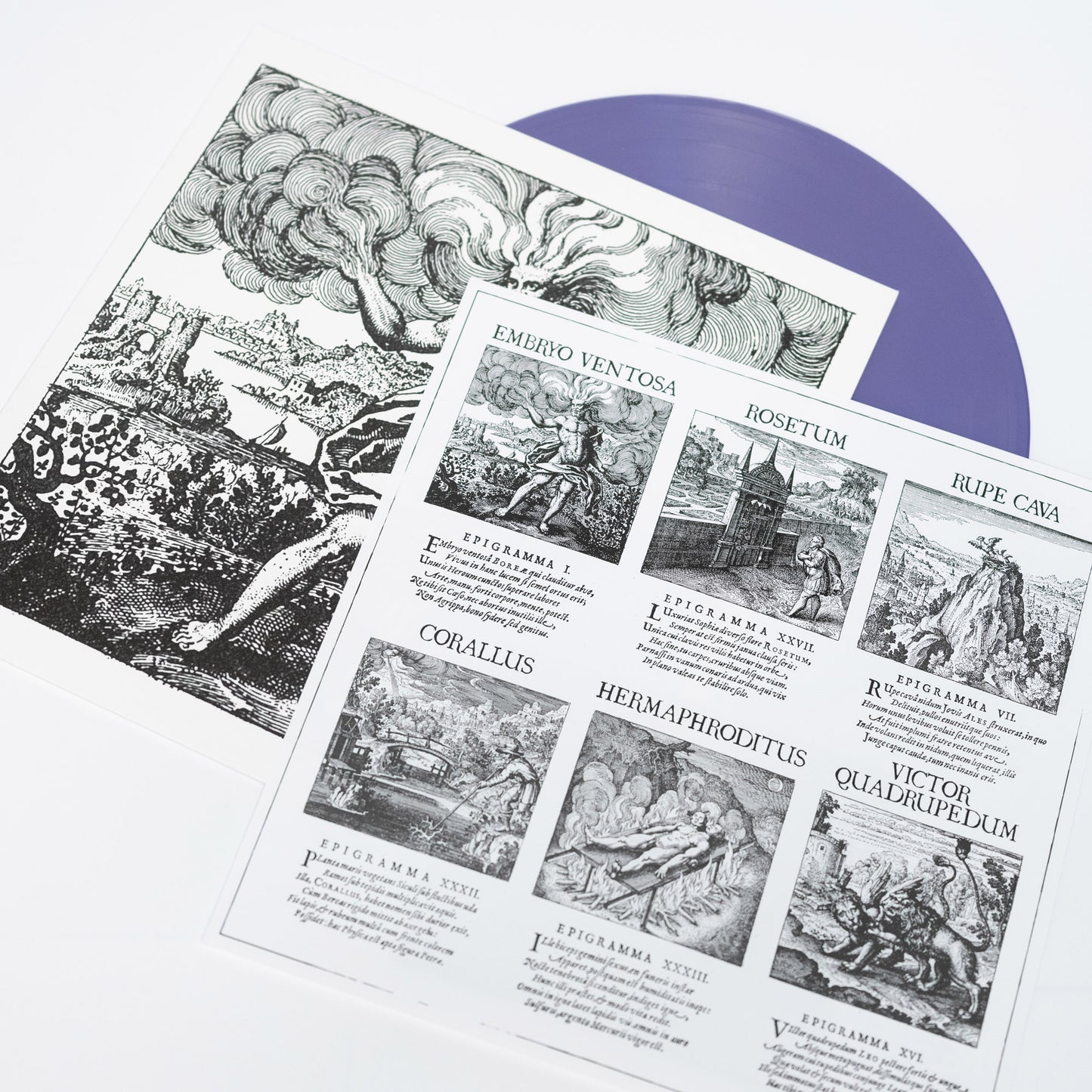 Camerata Mediolanense – Atalanta Fugiens (Vinyl LP – Lila Bio-Vinyl)