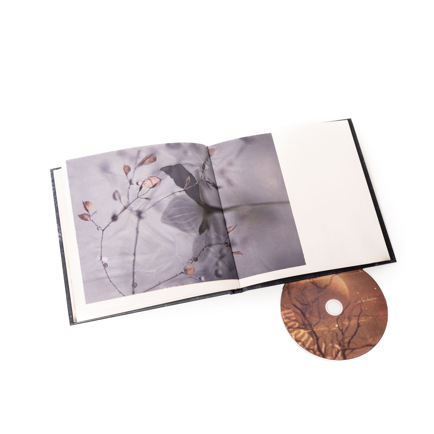 Trelldom - ...By The Shadows... (Artbook CD)