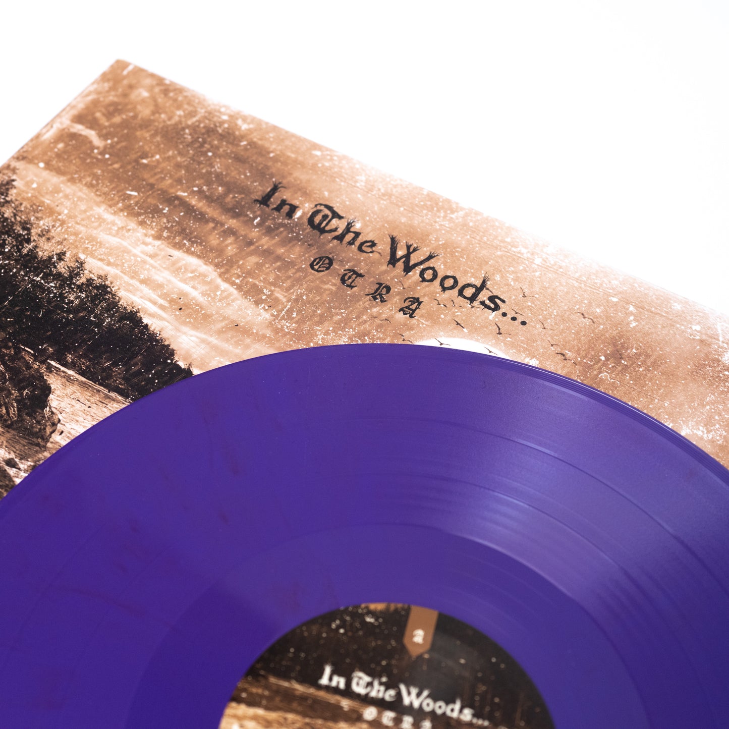 En el bosque... - Otra (Vinilo desplegable)