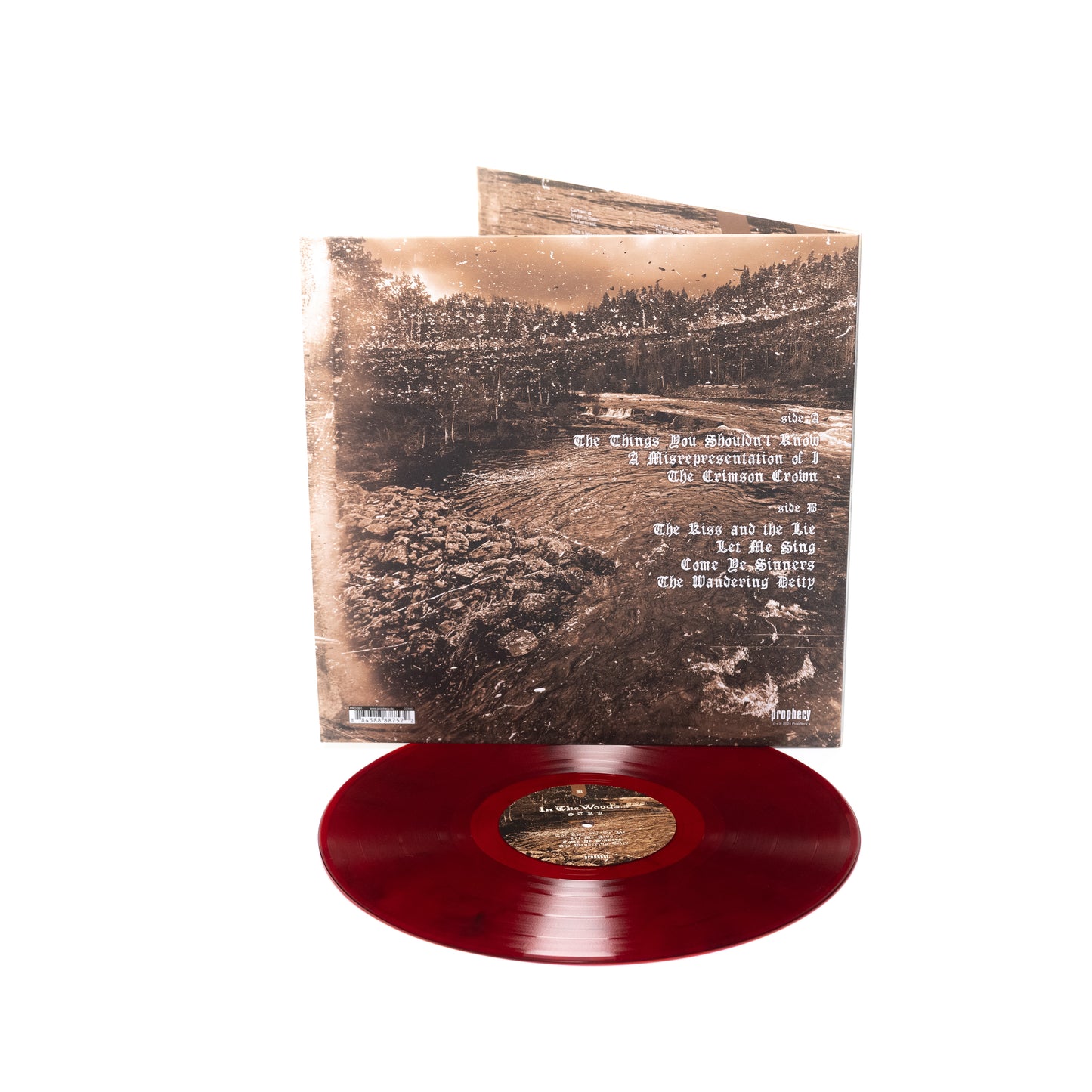 En el bosque... - Otra (Vinilo desplegable)