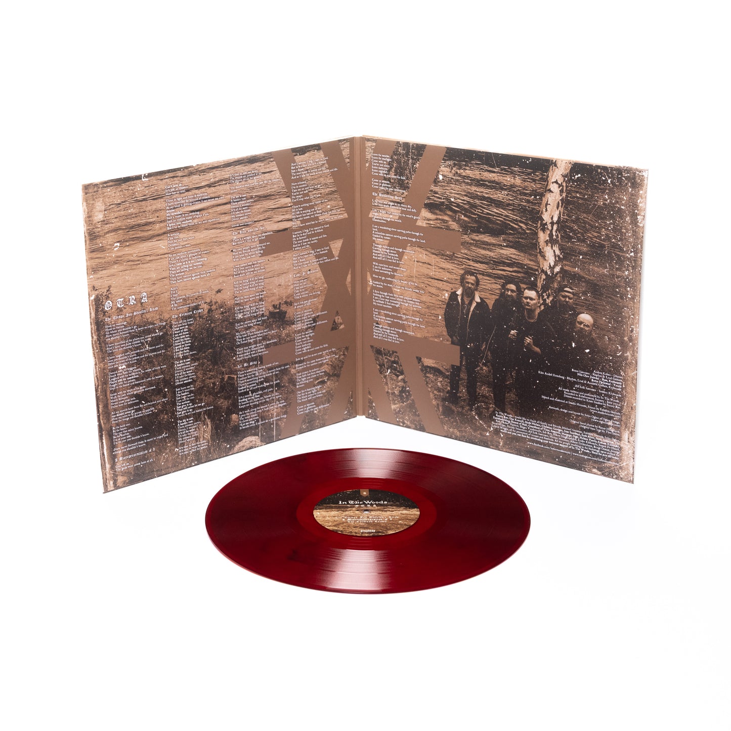 En el bosque... - Otra (Vinilo desplegable)