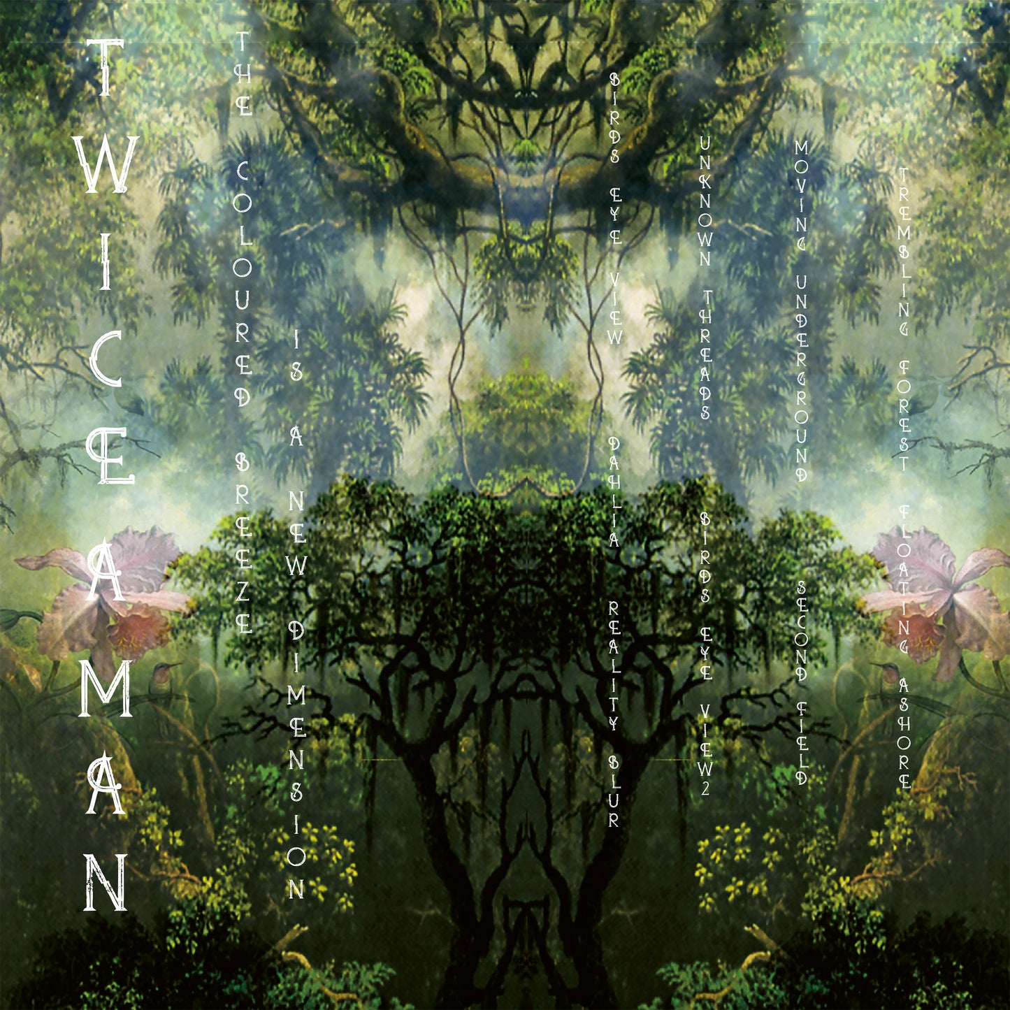 Twice A Man - La brisa de color es una nueva dimensión (Vinilo - Negro)