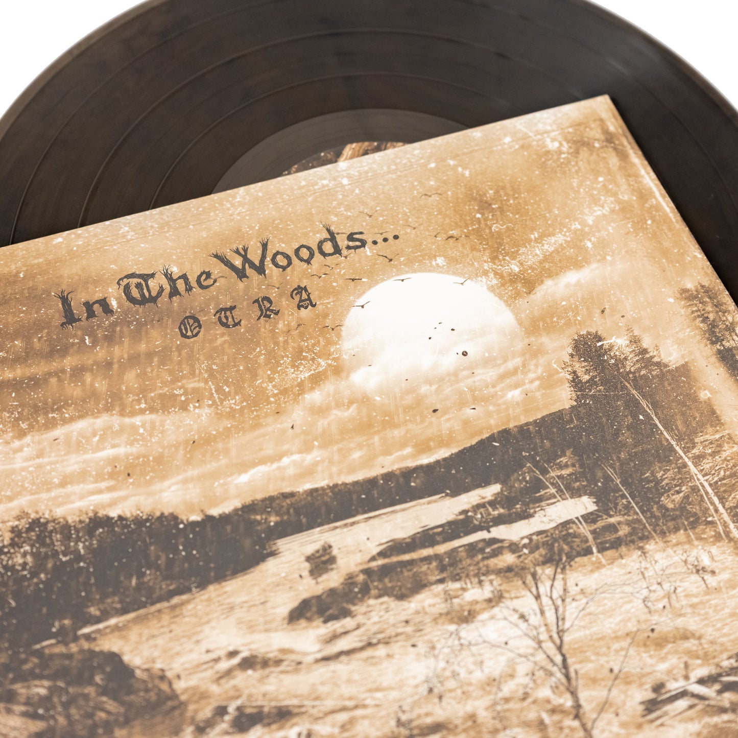 In The Woods... - Otra (Vinyl-Klapp-LP)