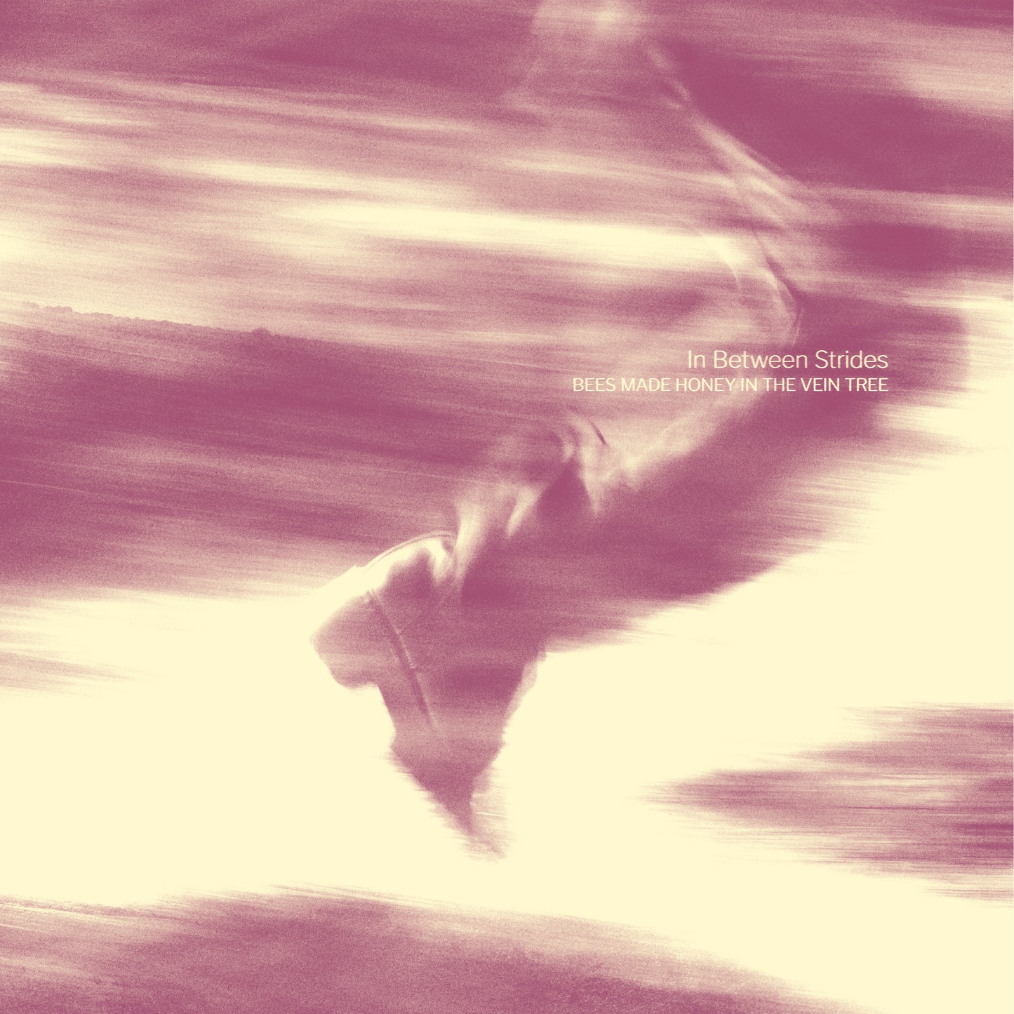 Bees Made Honey In The Vein Tree - In Between Strides (CD Digisleeve)