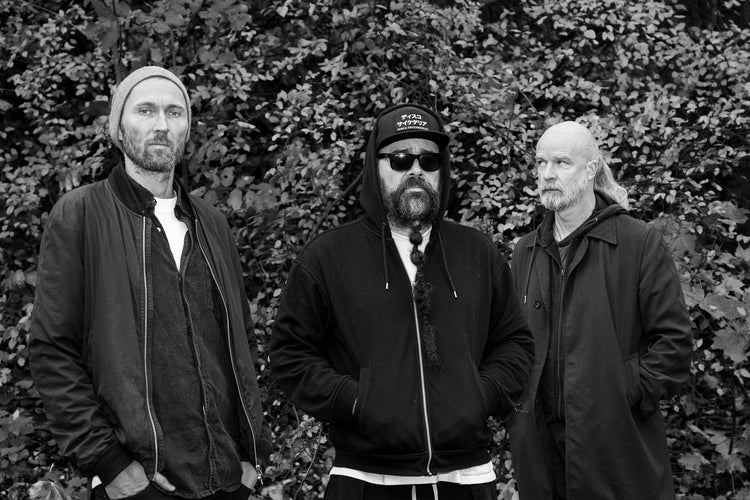 Ulver
