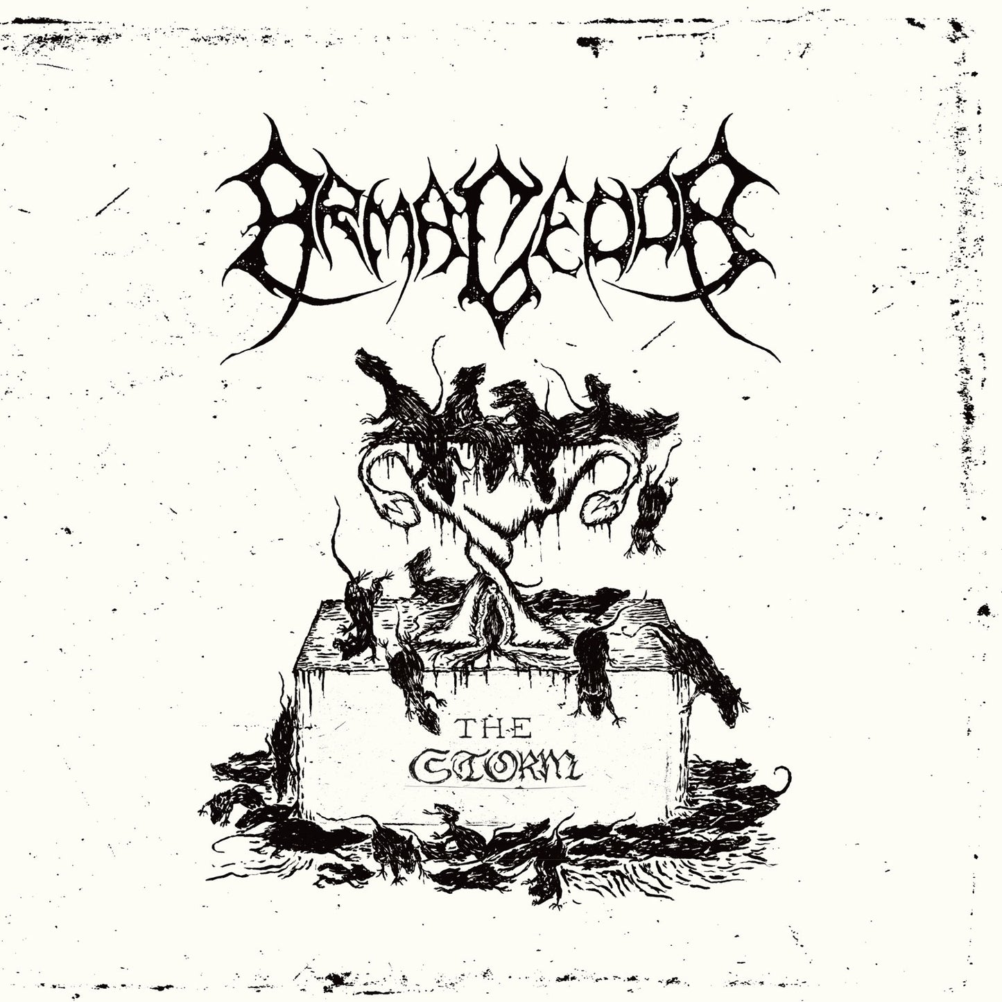 Armagedda - The Storm (Vinyl 7")