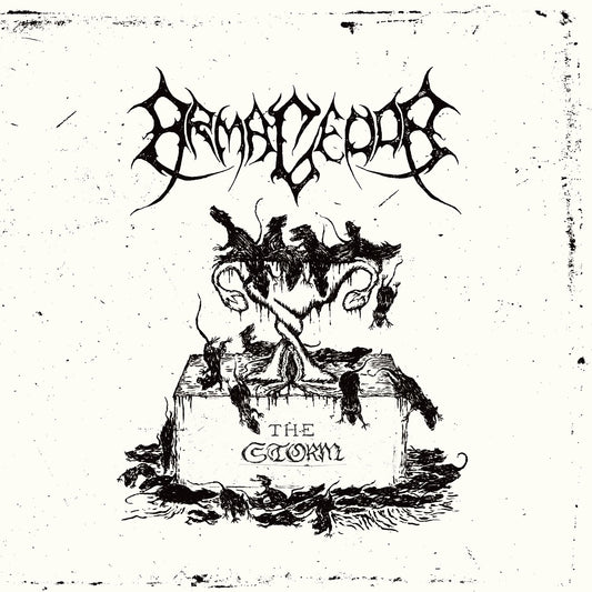 Armagedda - The Storm (Vinyl 7")