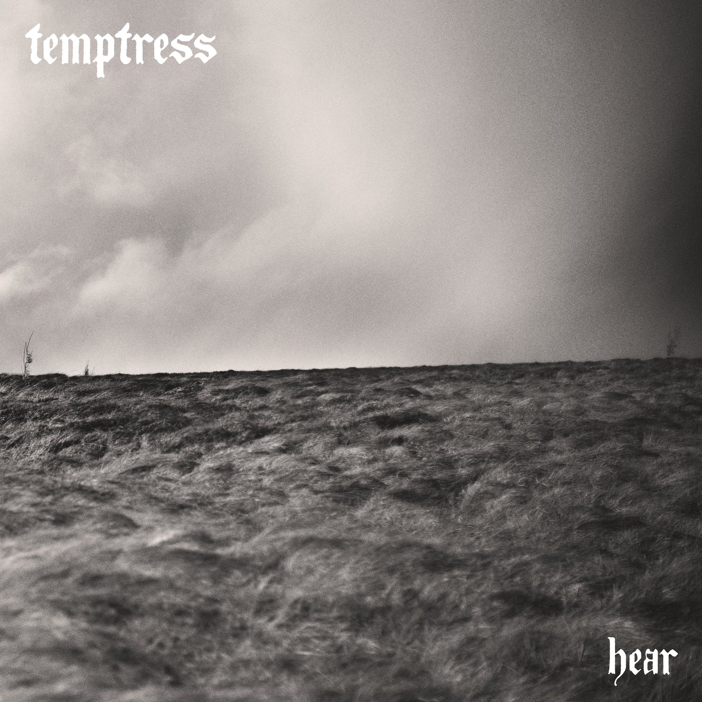 Temptress - hear (Vinyl LP - Marble)